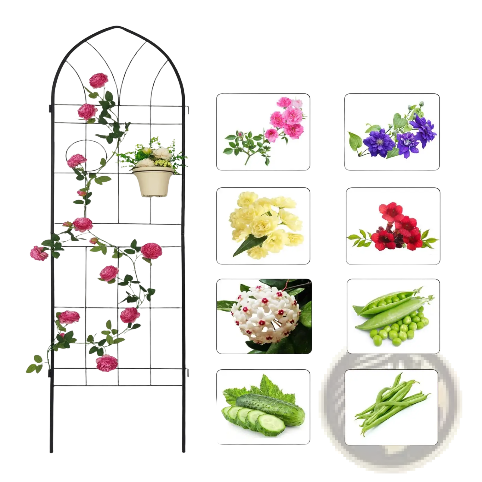 Black metal garden trellis with arched top vertical grid design and hanging planter for climbing plants 4 pack
