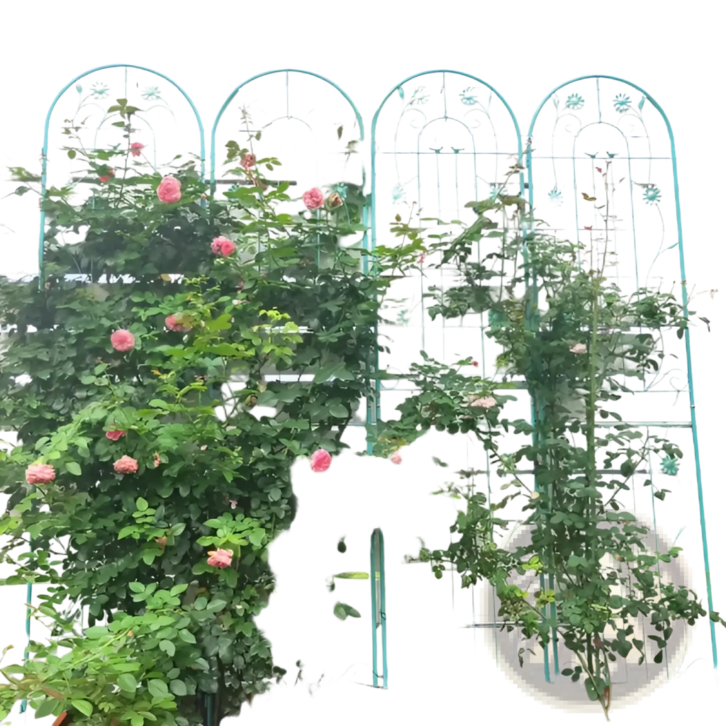 Light blue metal garden trellis 4 pack with floral and vine designs supporting climbing pink roses