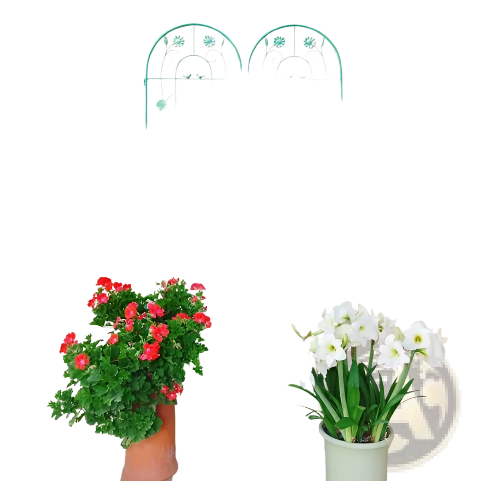 Teal metal garden trellis with arched top and floral embellishments for climbing plants 4 pack