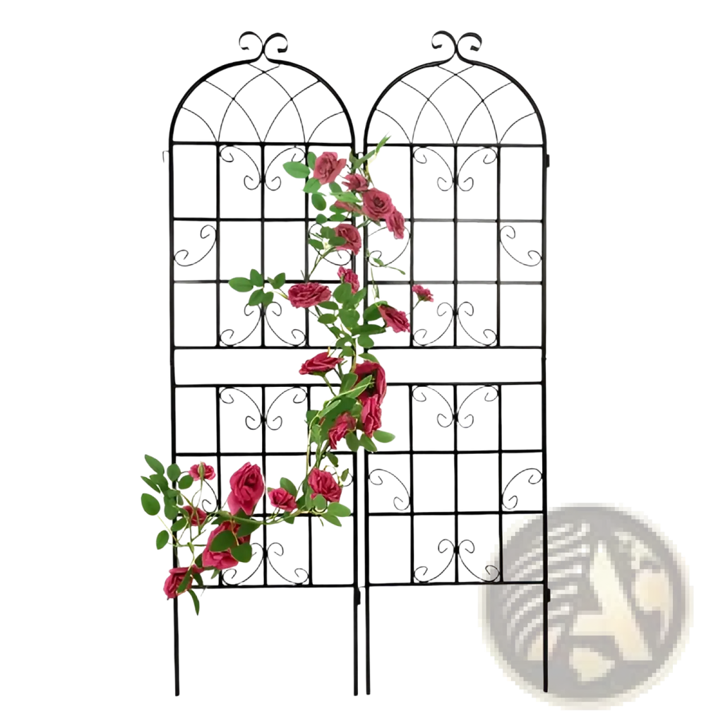 Black wrought iron garden trellis with arched top and scrollwork design featuring two panels with climbing pink roses