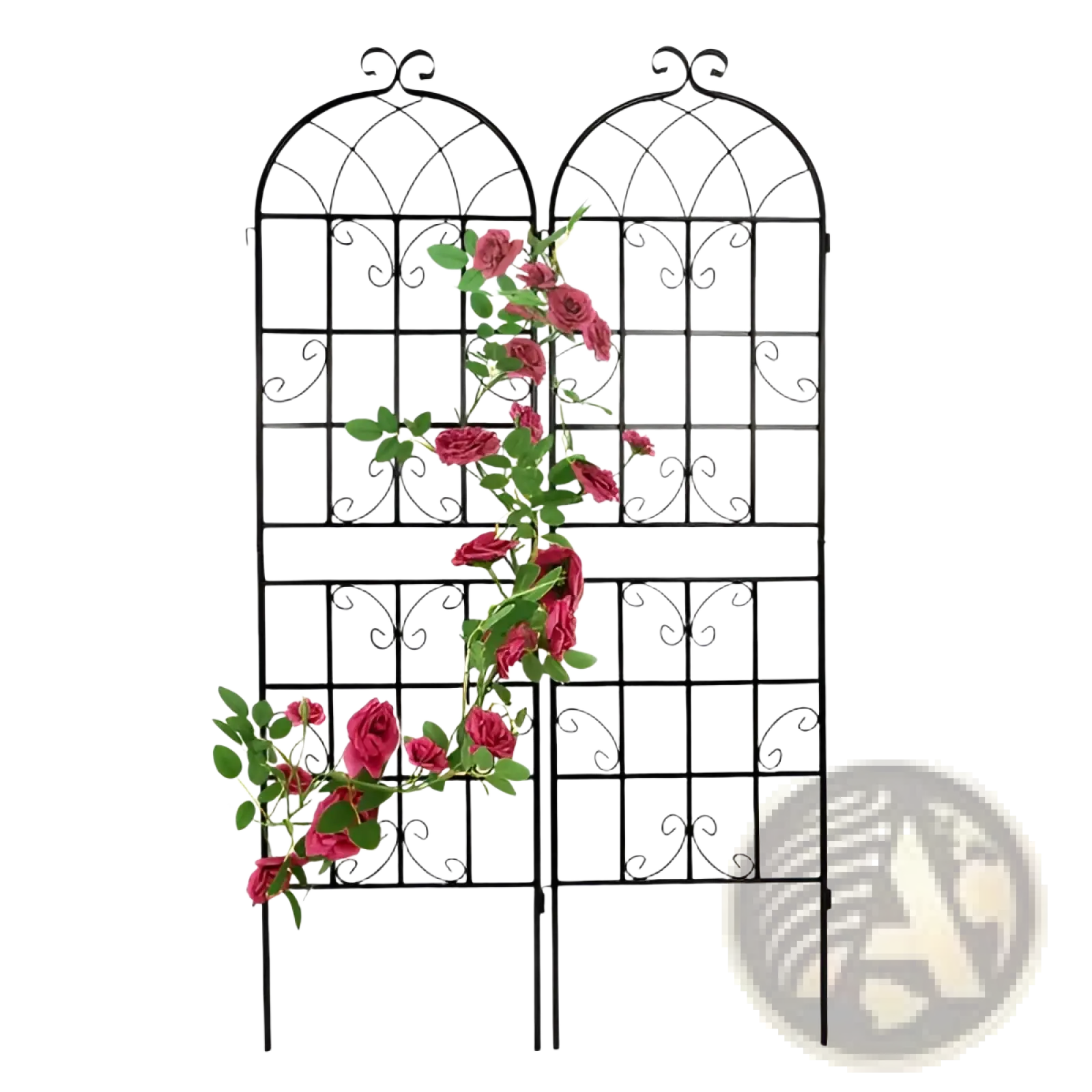 Black wrought iron garden trellis with arched top and scrollwork design featuring two panels with climbing pink roses