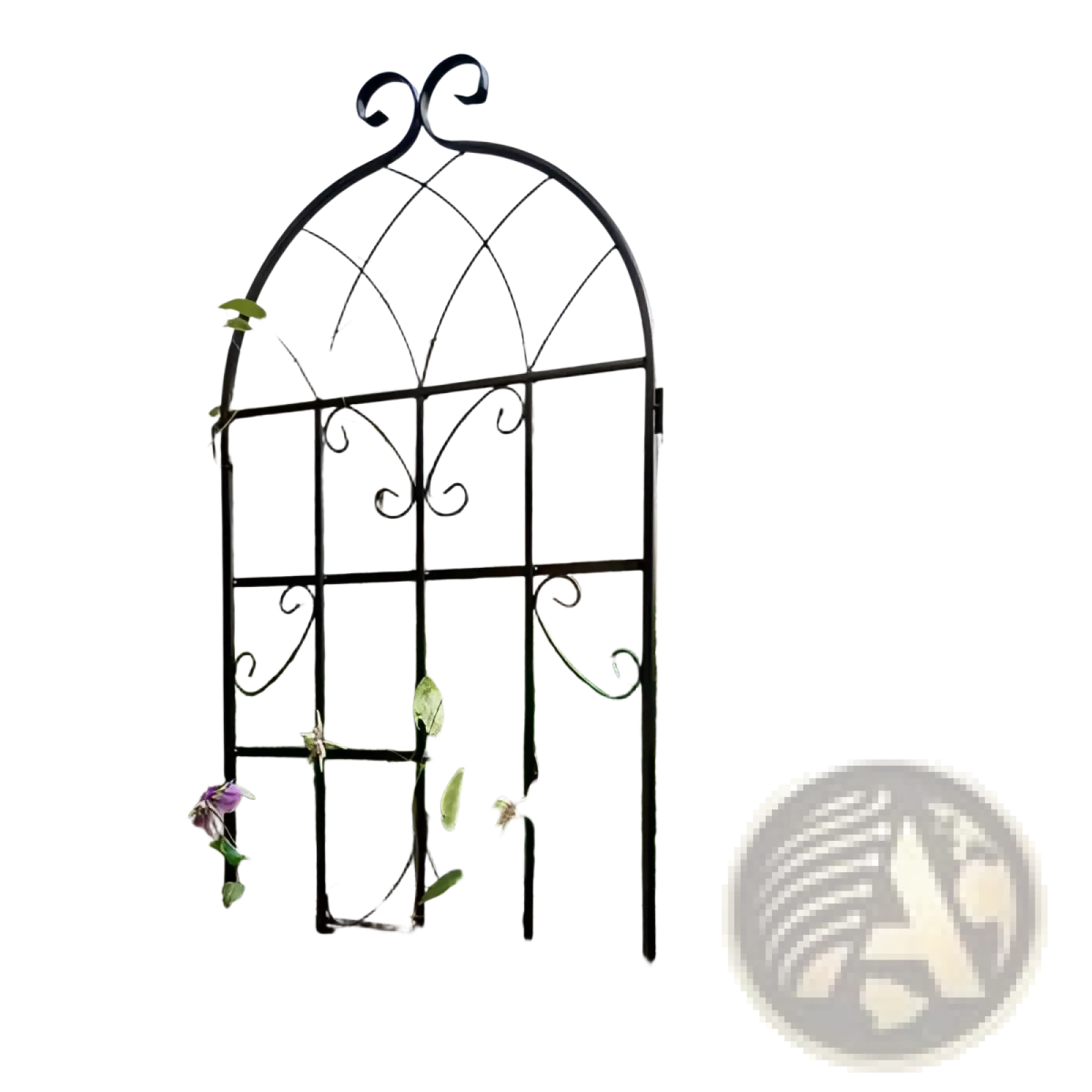Black wrought iron metal garden trellis 71 inch arched plant support with ornate scrollwork and grid pattern 2 pack