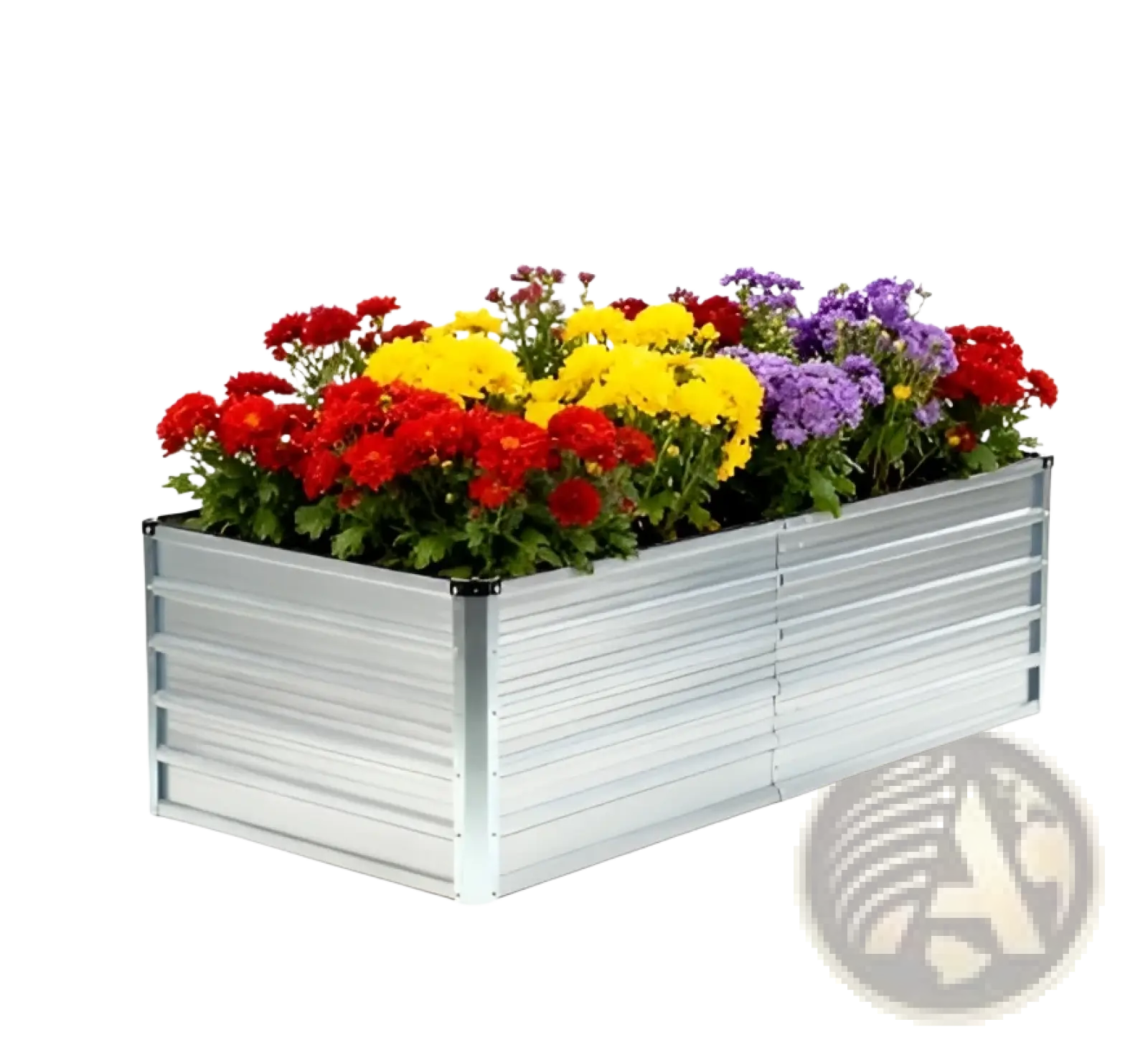Metal raised garden bed 6x3x2ft galvanized silver planter box filled with vibrant red yellow and purple chrysanthemums