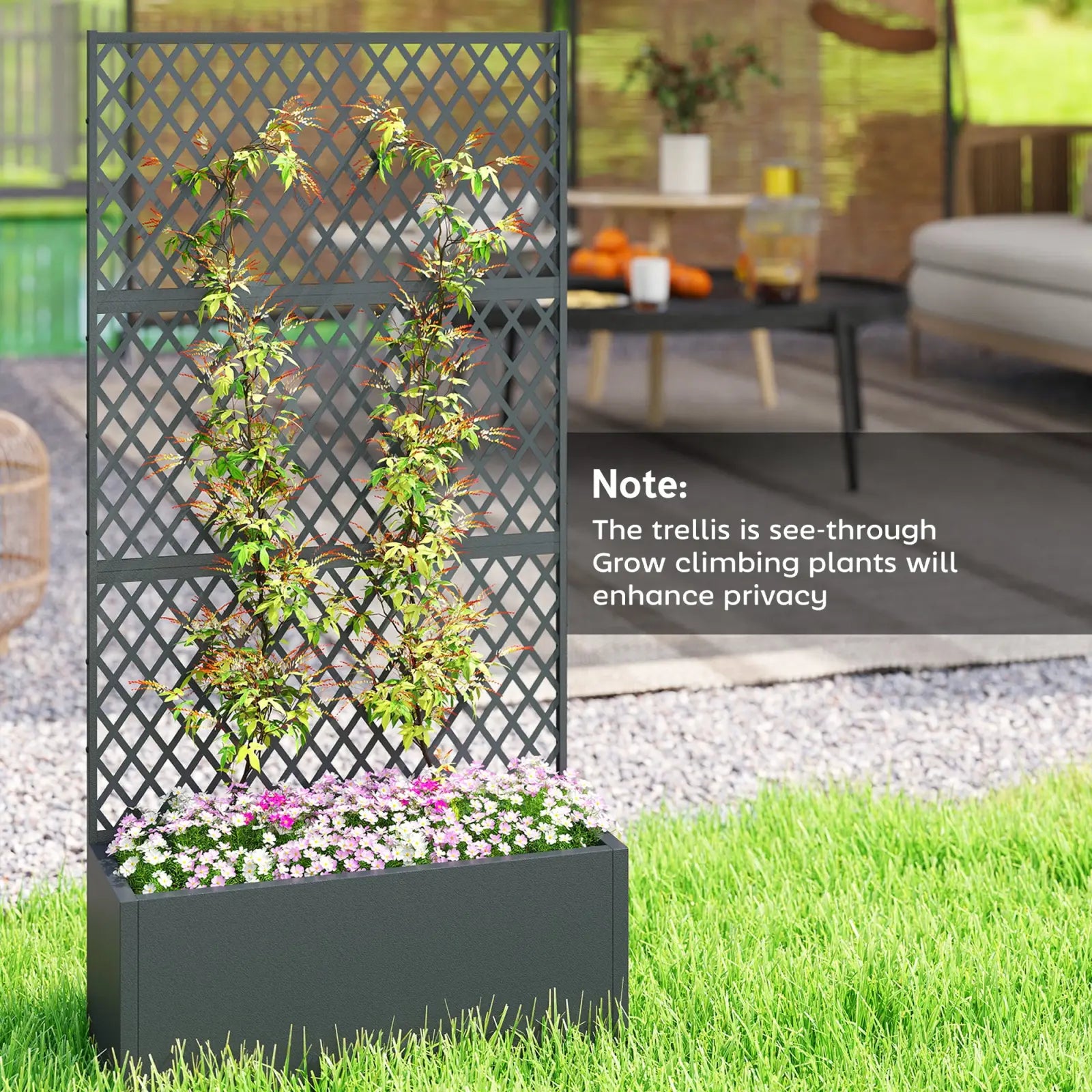 Black metal trellis planter box with diamond lattice design filled with flowering plants for raised garden bed use