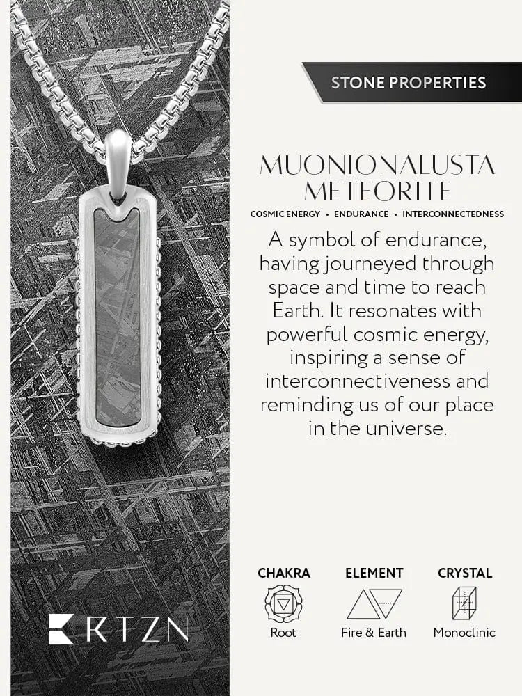 Silver-toned stainless steel pendant necklace featuring a polished muonionalusta meteorite inlay on a matching chain