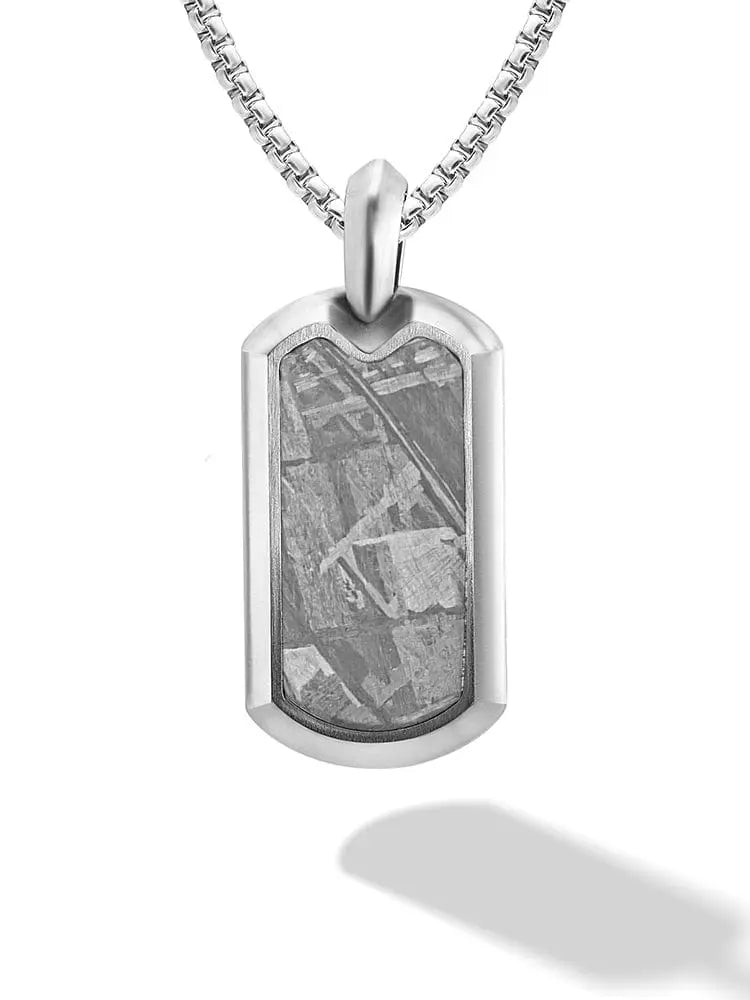 Silver stainless steel dog tag necklace with natural muonionalusta meteorite inlay featuring swirling patterns
