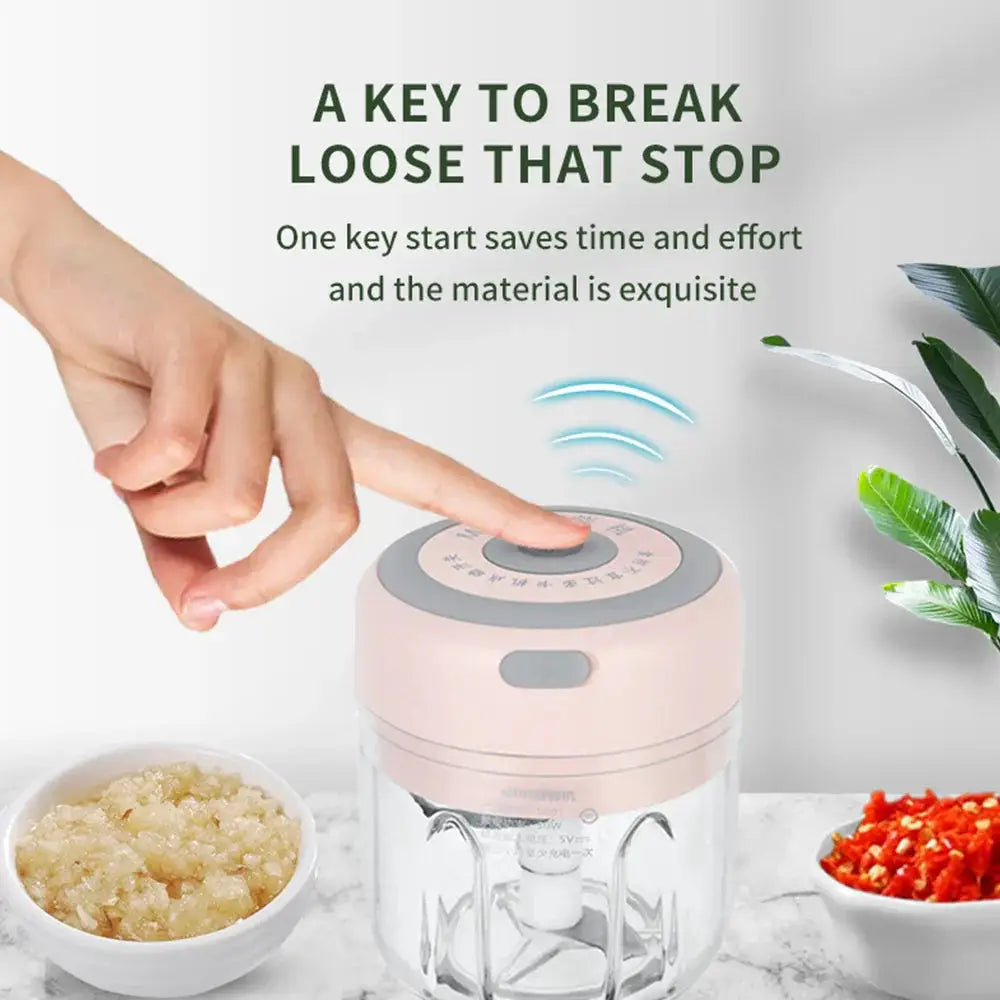 Usb electric mini food chopper and garlic mincer in pink and gray with clear glass container and handheld design