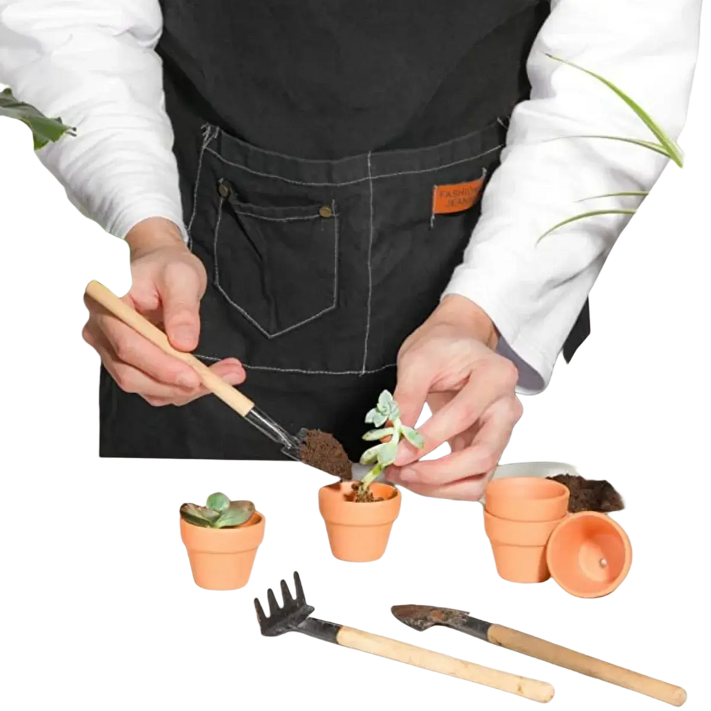 Orange terracotta mini terracotta pot with small succulent ideal for party favors and drop test durability