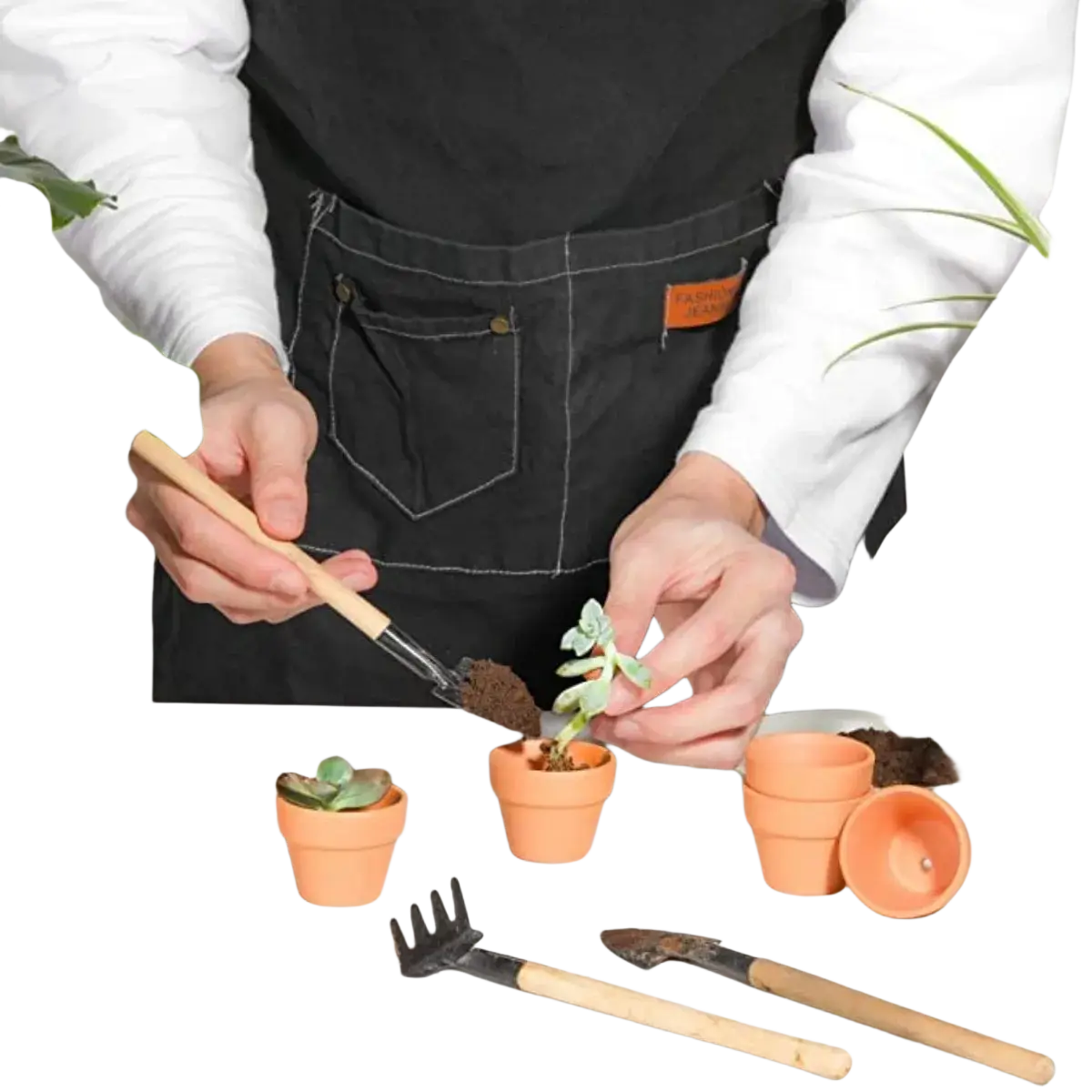 Orange terracotta mini terracotta pot with small succulent ideal for party favors and drop test durability