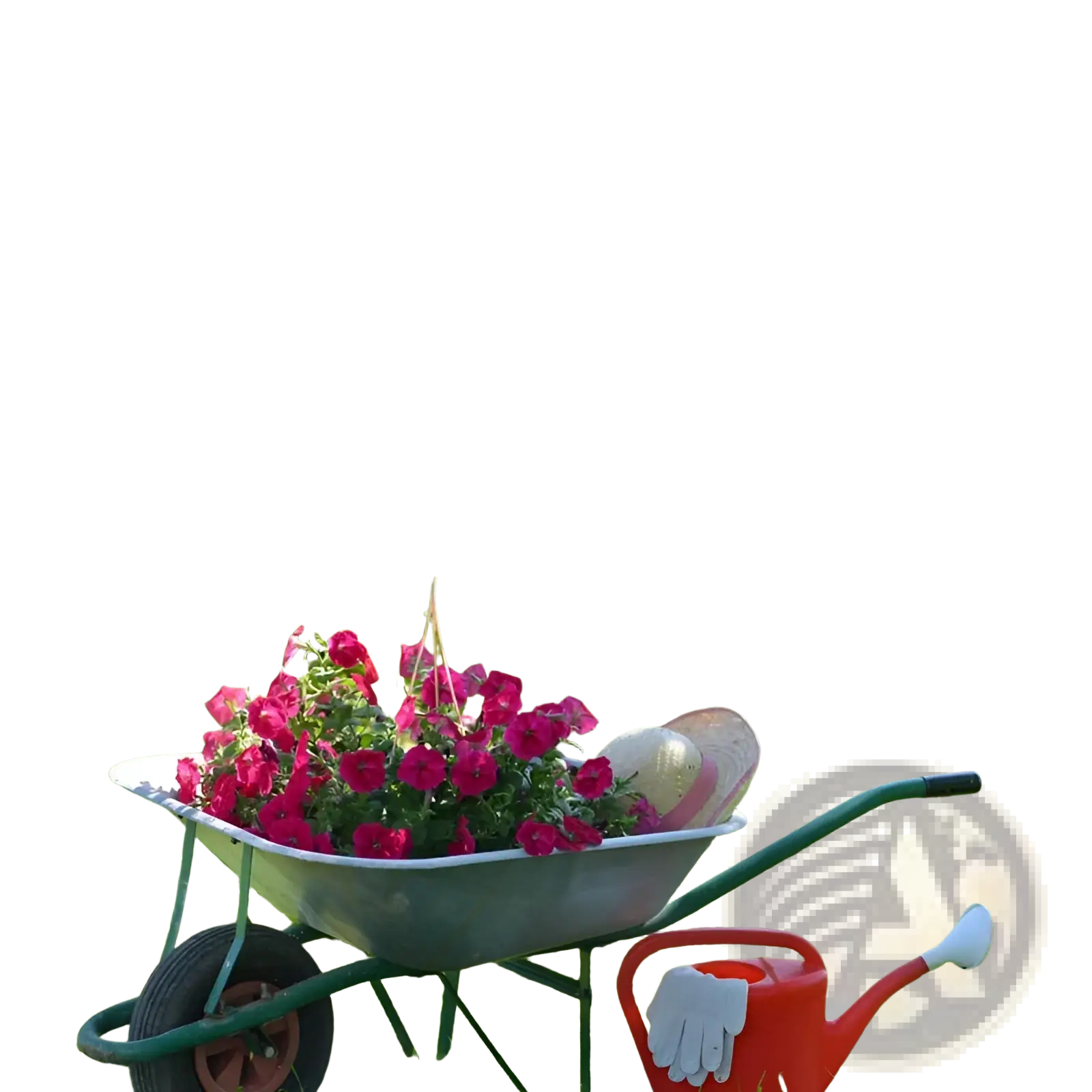 Green rubber gardening boots with wooden handles alongside a matching green watering can for mixed climbing flower seeds use
