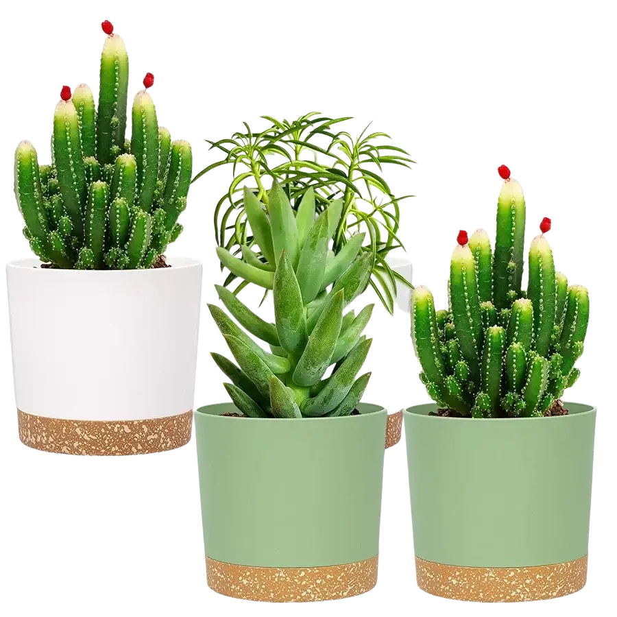 Set of three modern plastic plant pots with drainage holes featuring speckled terracotta bases and matte green or white finish