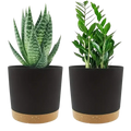 Two black matte ceramic planters with speckled tan terracotta bases holding green houseplants with drainage holes