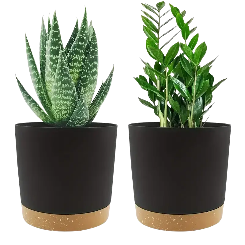 Two black matte ceramic planters with speckled tan terracotta bases holding green houseplants with drainage holes