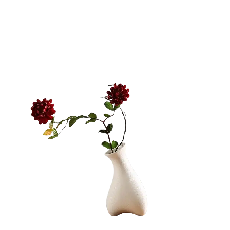 A modern white ceramic vase with a slender neck and rounded base holding two vibrant red flowers