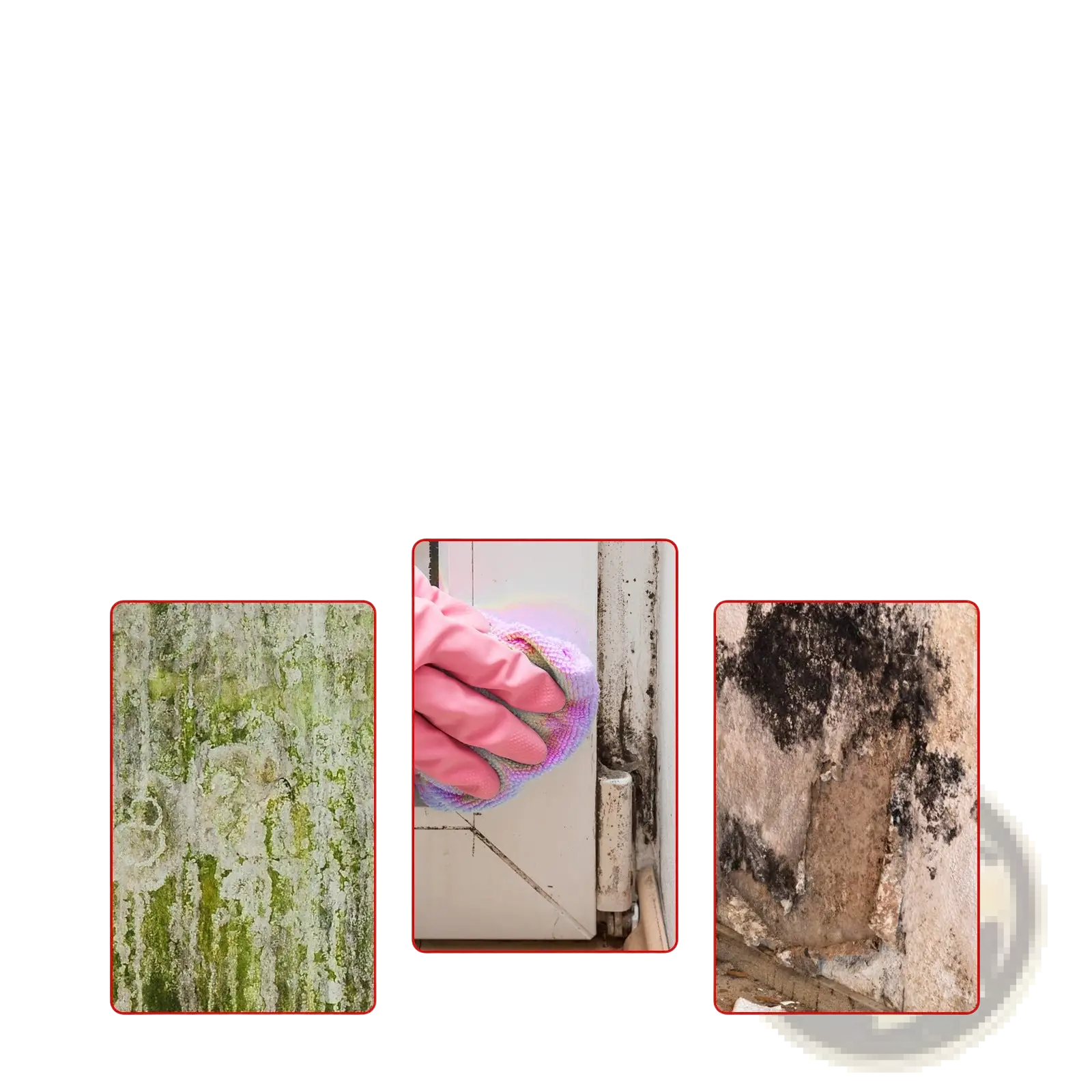 Pink glove holding a purple cloth scrubbing mold off a white door frame with mold removal gel bathroom tile cleaner