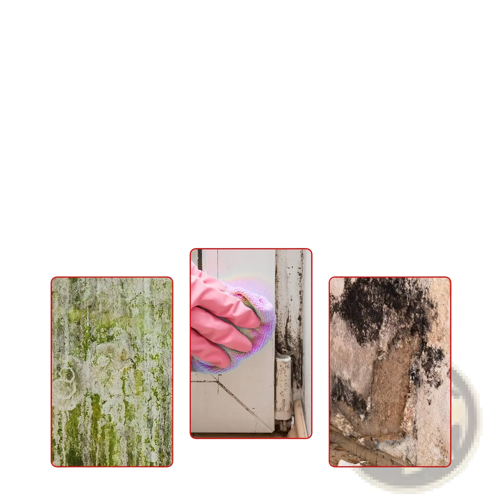 Pink glove holding purple cleaning cloth scrubbing mold off white door frame using mold removal gel bathroom cleaner 120g