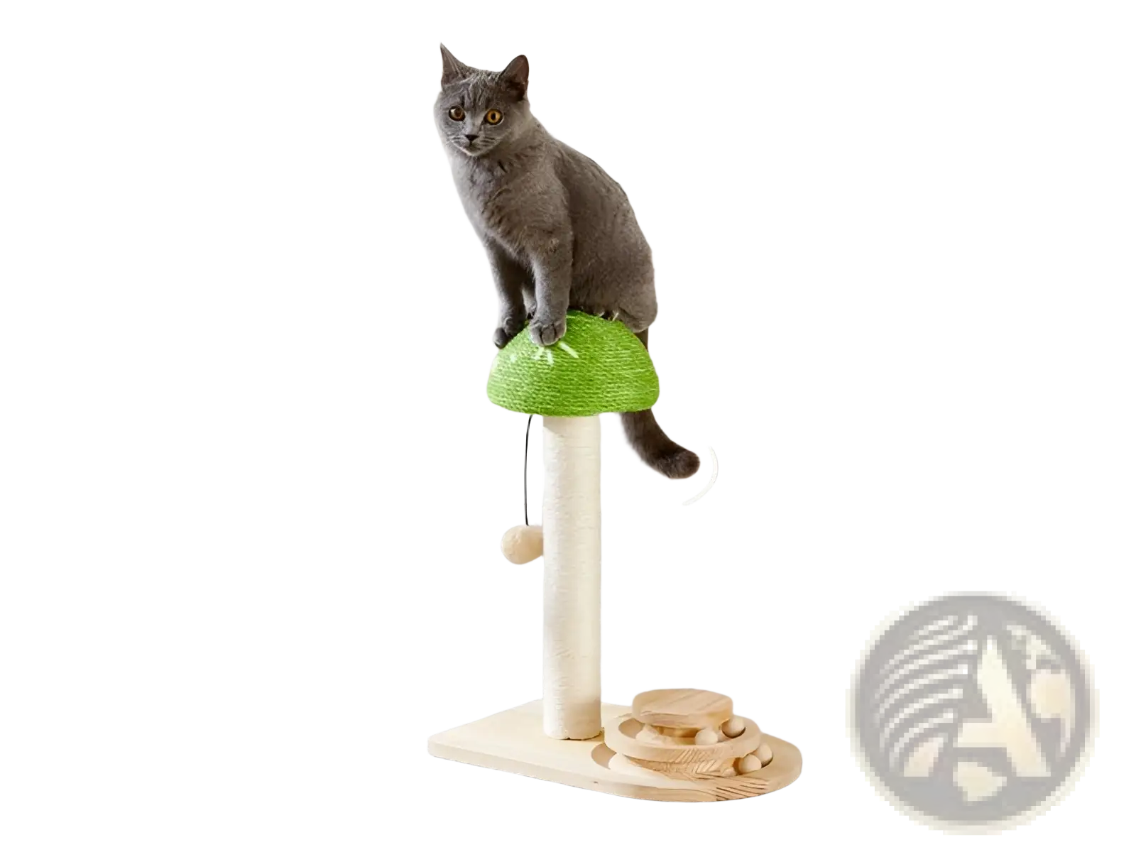 Green mushroom-shaped cat scratching post with ball track, beige base, and wooden platform for pet play and scratching