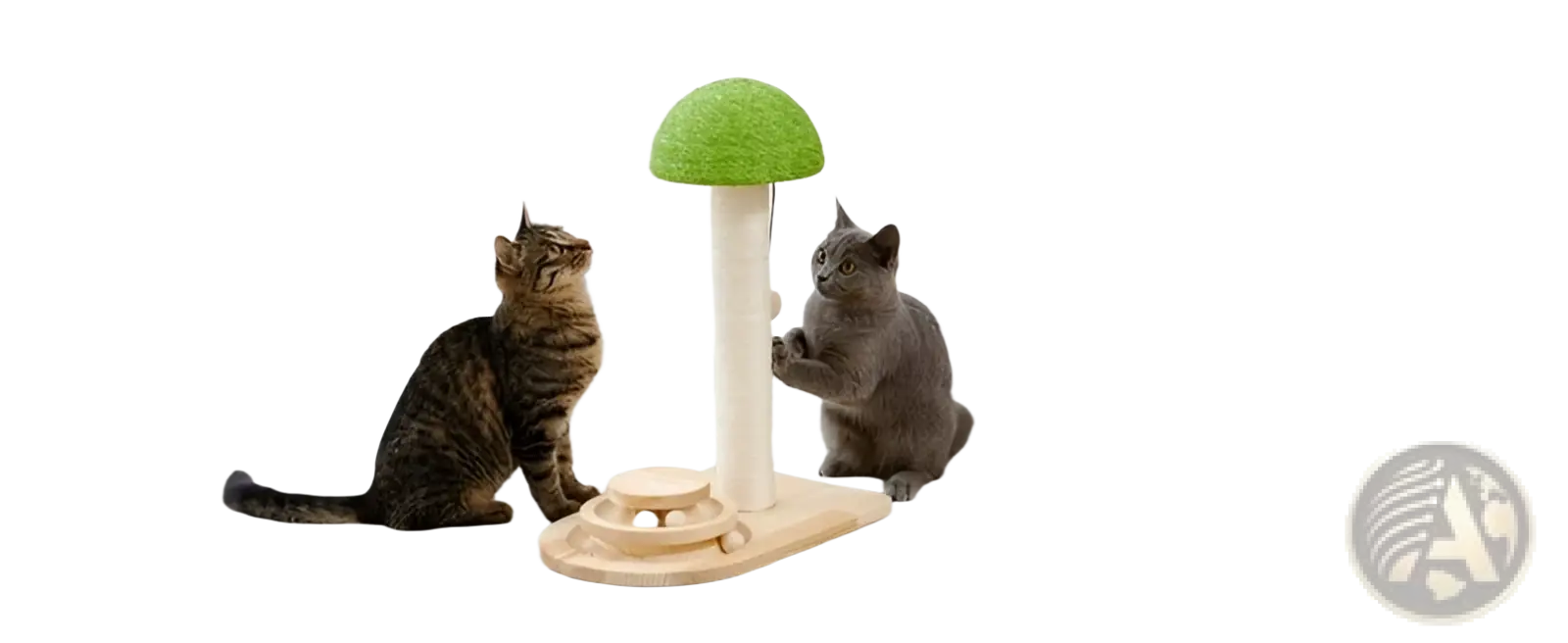 Green mushroom-shaped cat scratching post with wooden base and ball track for interactive play and claw care