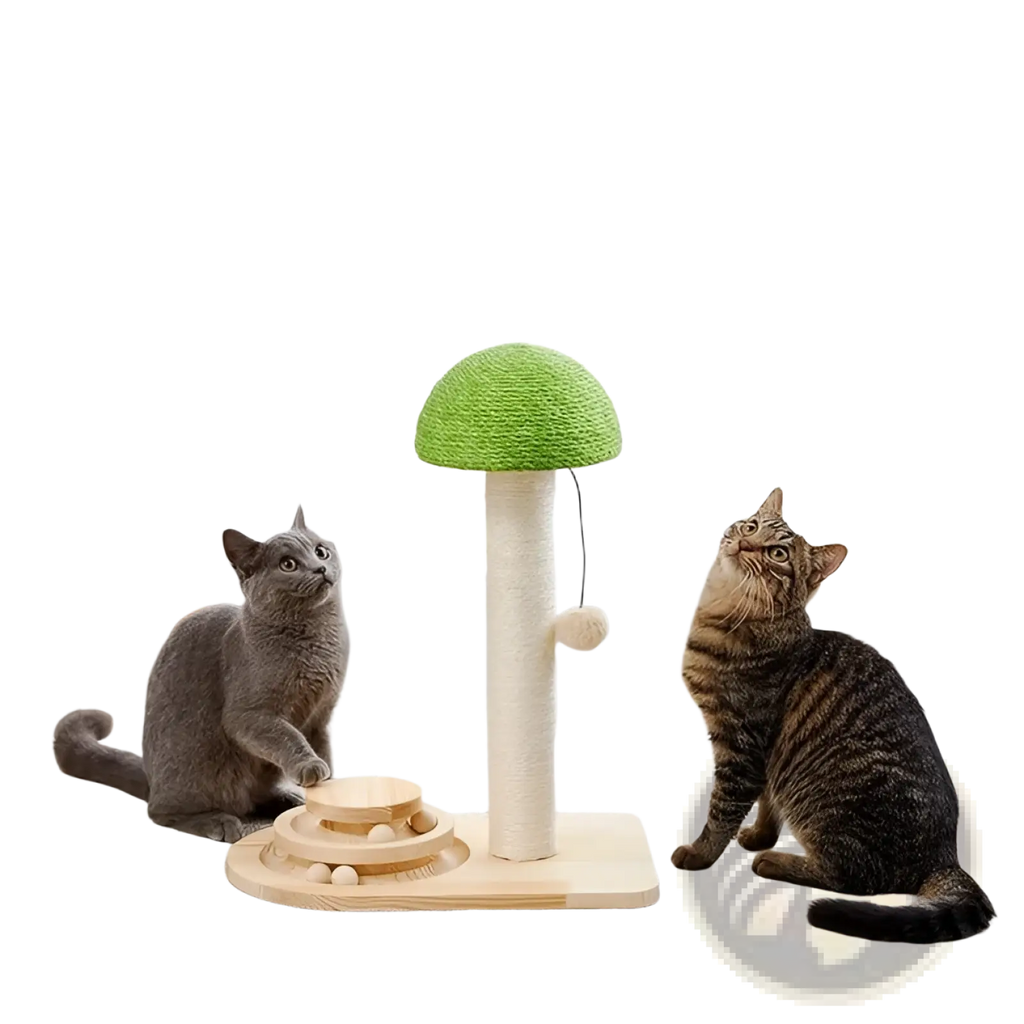 Green mushroom-shaped cat scratching post with sisal-wrapped base wooden platform and ball track toy