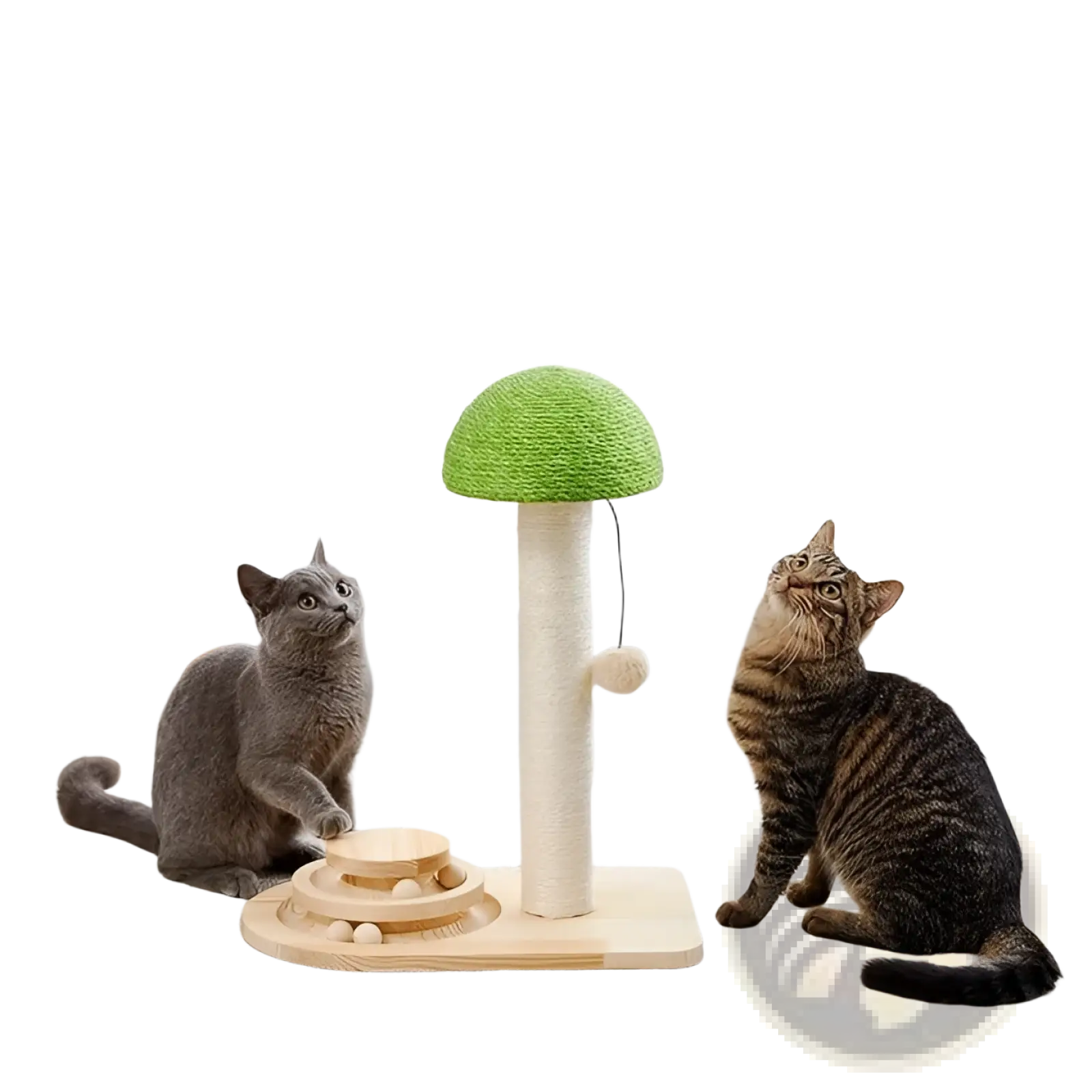 Green mushroom-shaped cat scratching post with sisal-wrapped base wooden platform and ball track toy