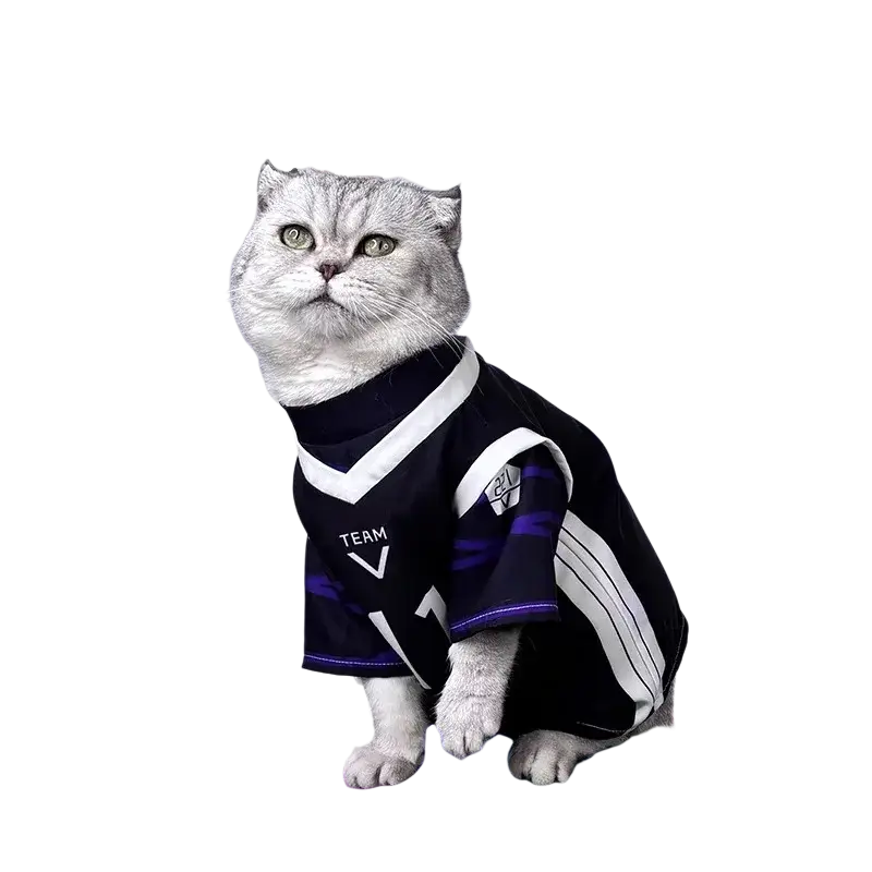 Silver Scottish fold cat wearing a black and white soccer jersey with purple accents in nagi seishiro pet cosplay costume jumpsuit