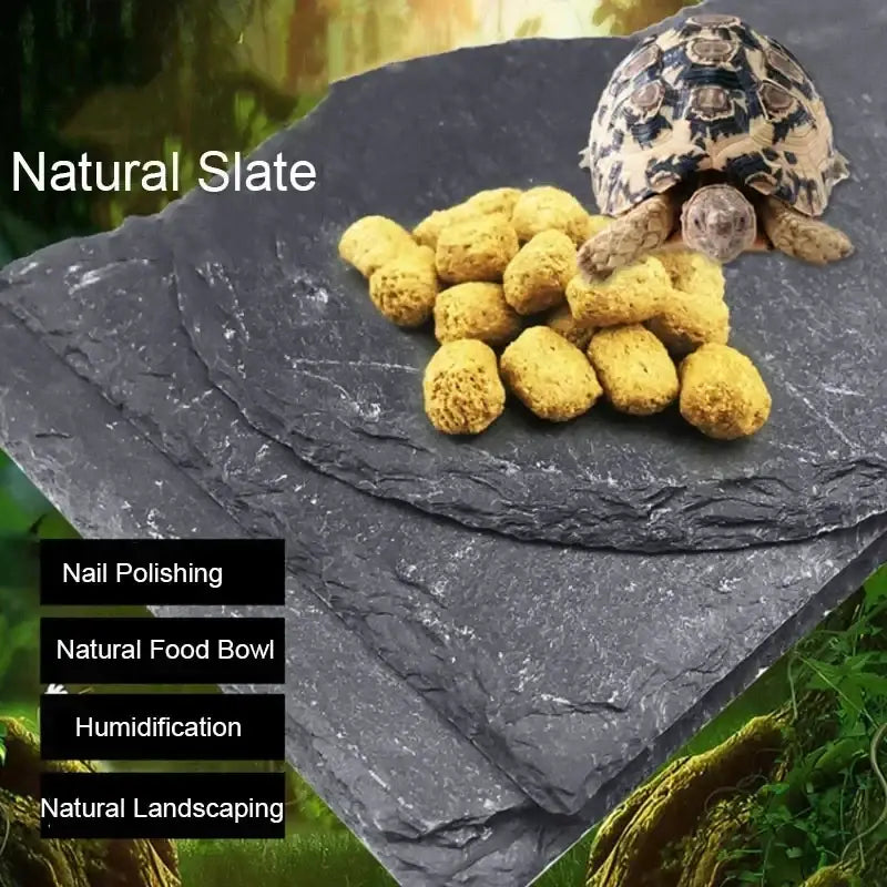 Dark gray natural slate reptile feeder tray with textured uneven surface and organic edges for aquarium use