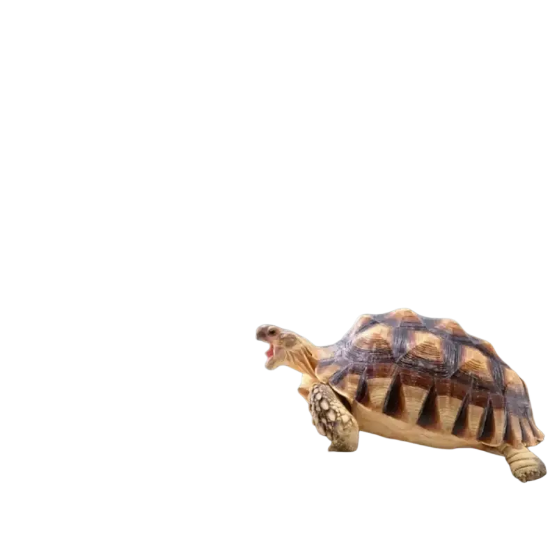 A tortoise beside yellow pellets on a natural slate reptile feeder bowl for food and water in earthy tones