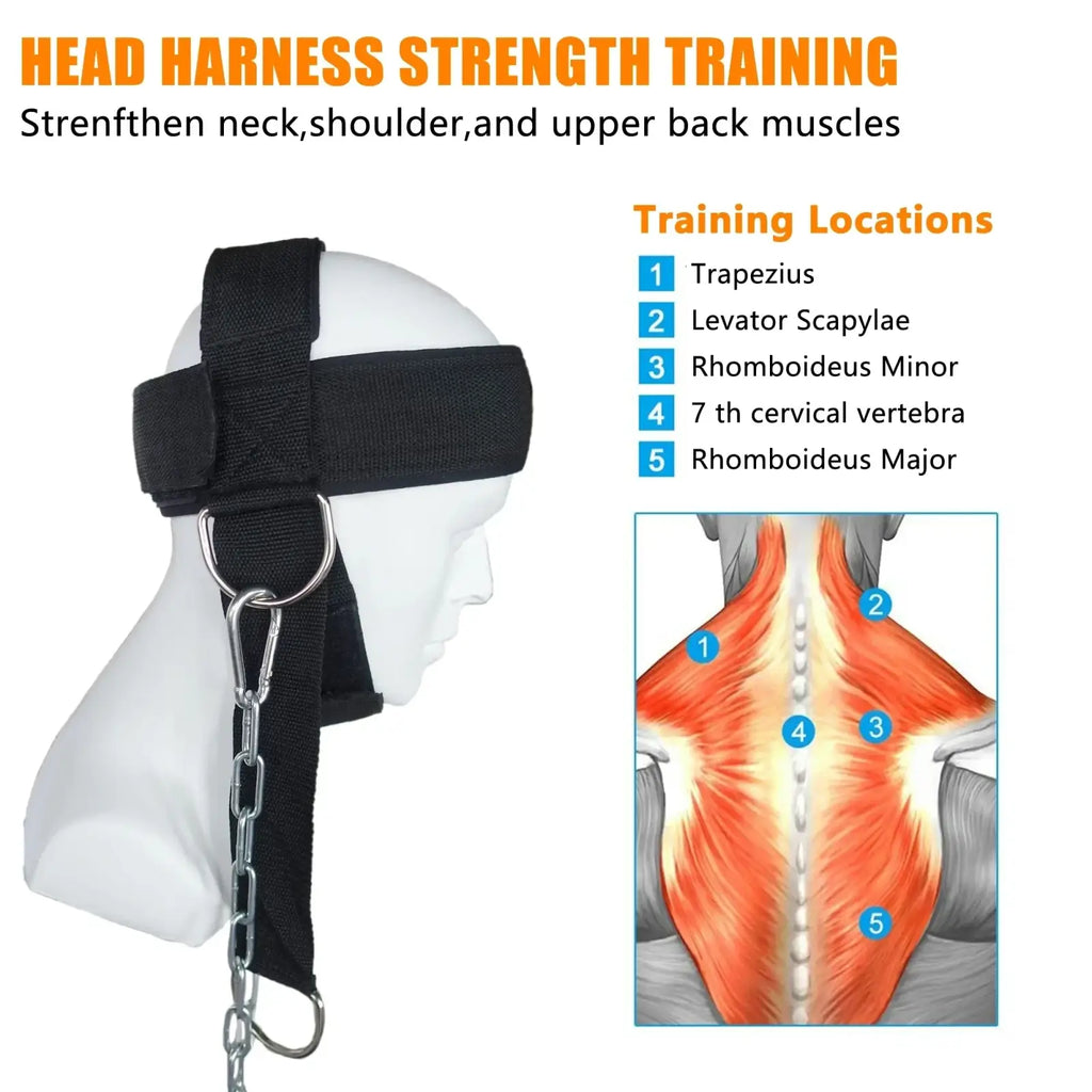 Black neck training head harness with adjustable straps and metal chain attachment for strength and muscle building