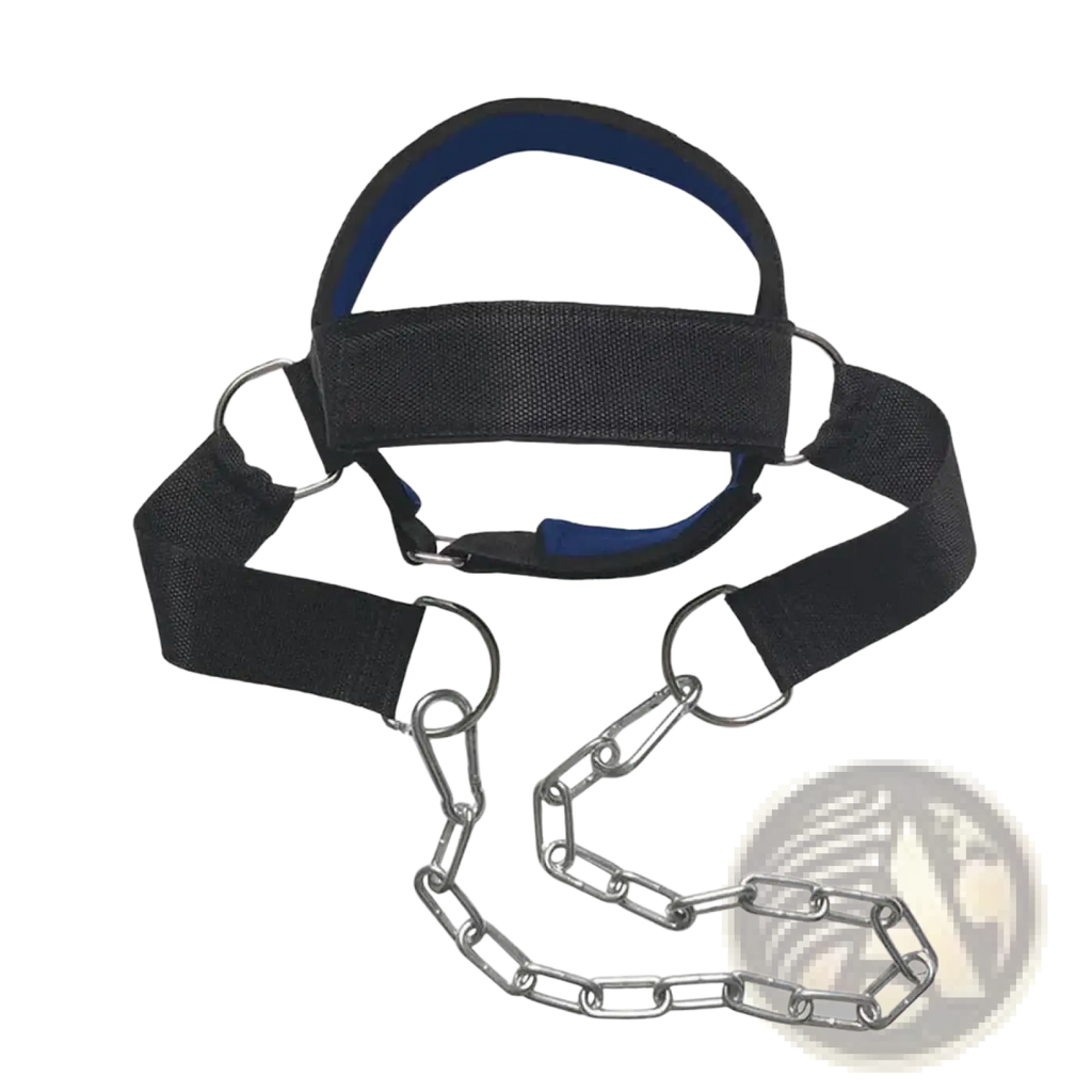 Neck training head harness with black exterior blue inner lining and silver metal chain attachments for strength building