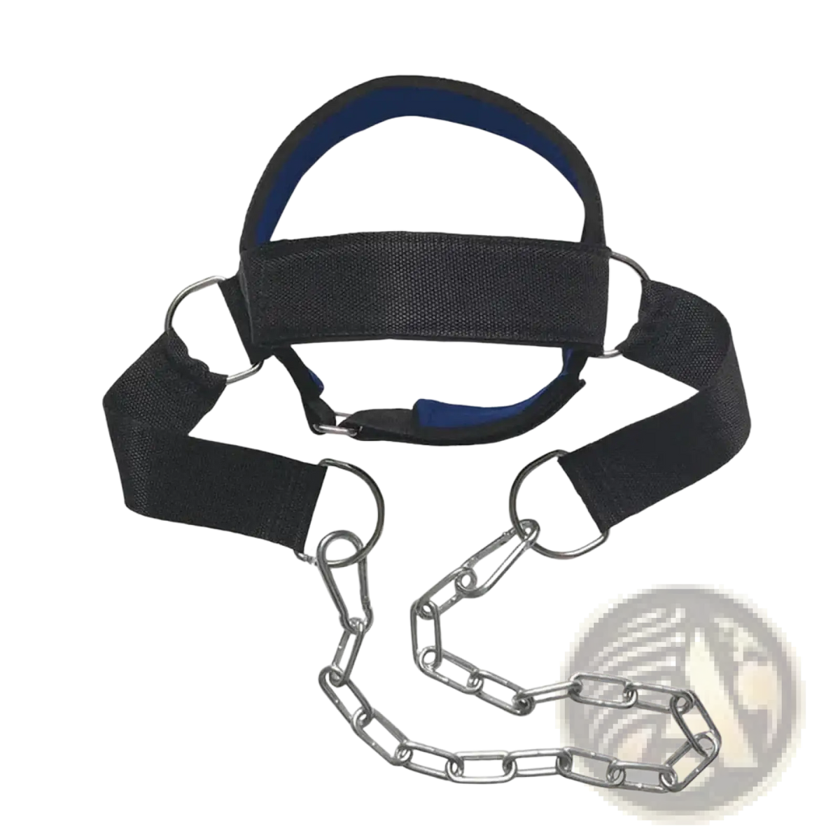 Neck training head harness with black exterior blue inner lining and silver metal chain attachments for strength building