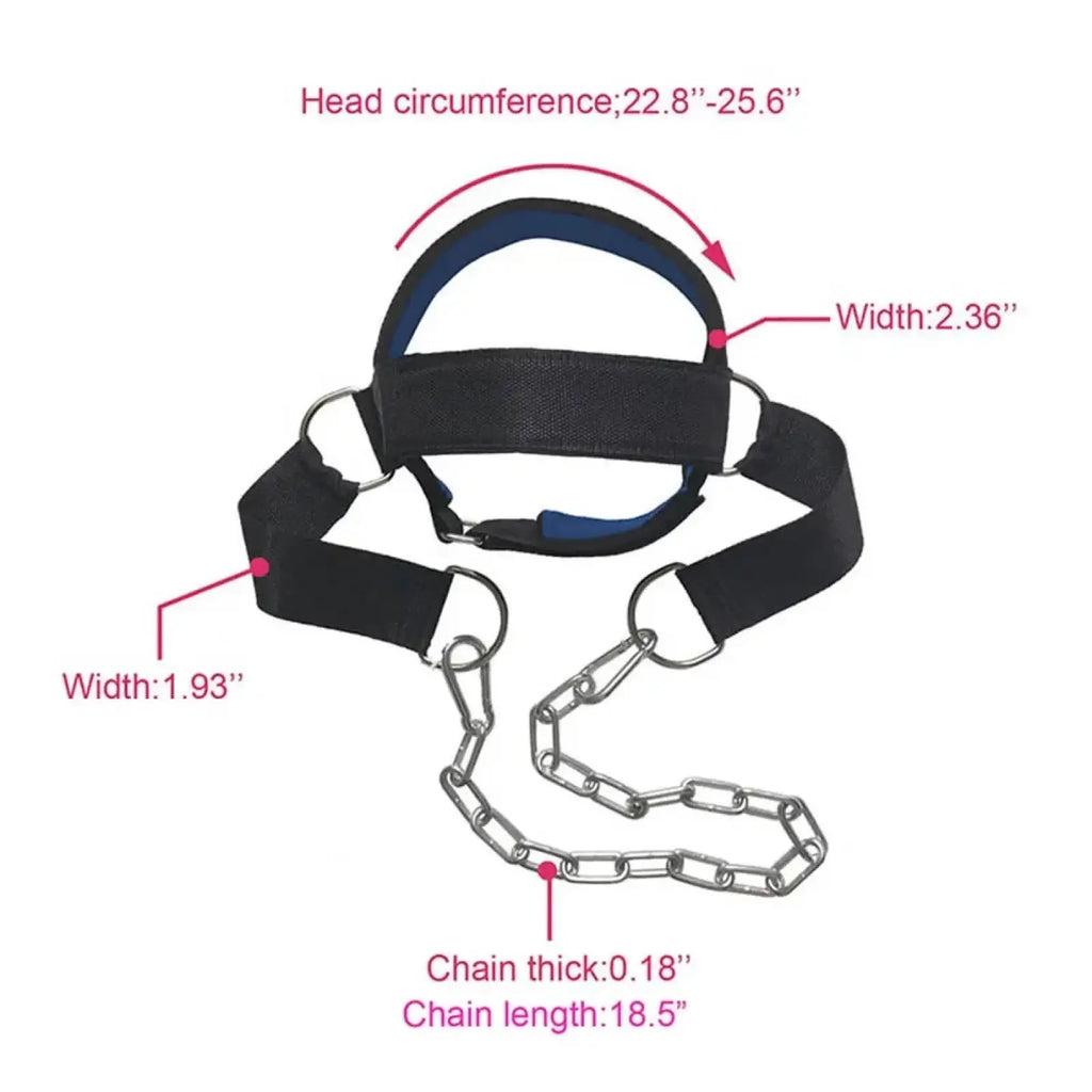 Black neck training head harness with blue interior padding and silver chain for strength and muscle building exercises