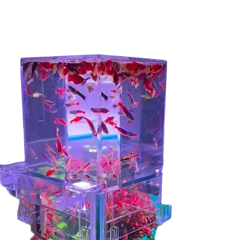 Transparent cubic fish tank with colorful fish designed as a negative pressure aerial aquarium extender