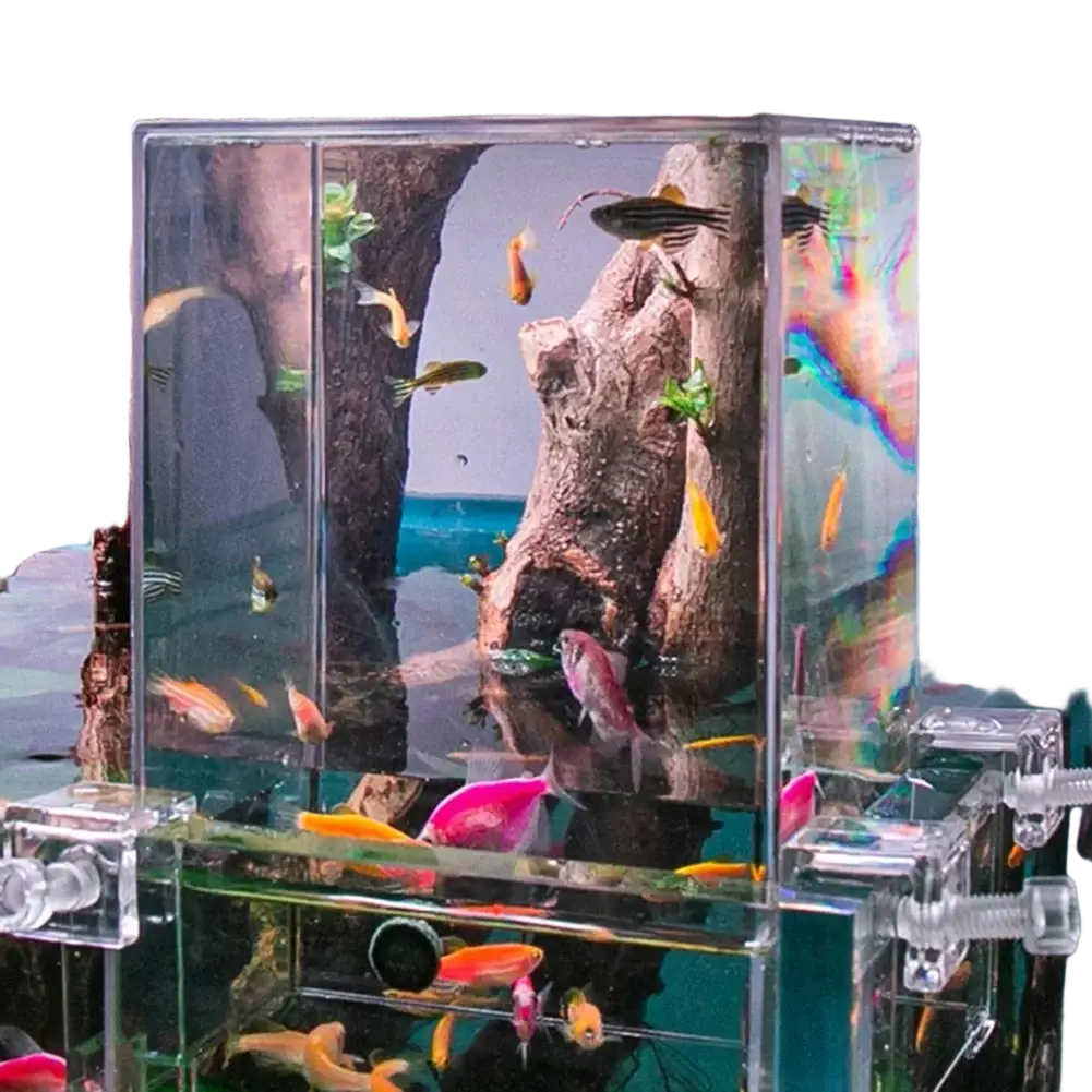 Clear acrylic fish tank with transparent sides and wooden log decoration featuring colorful tropical fish for negative pressure aerial aquarium extender use