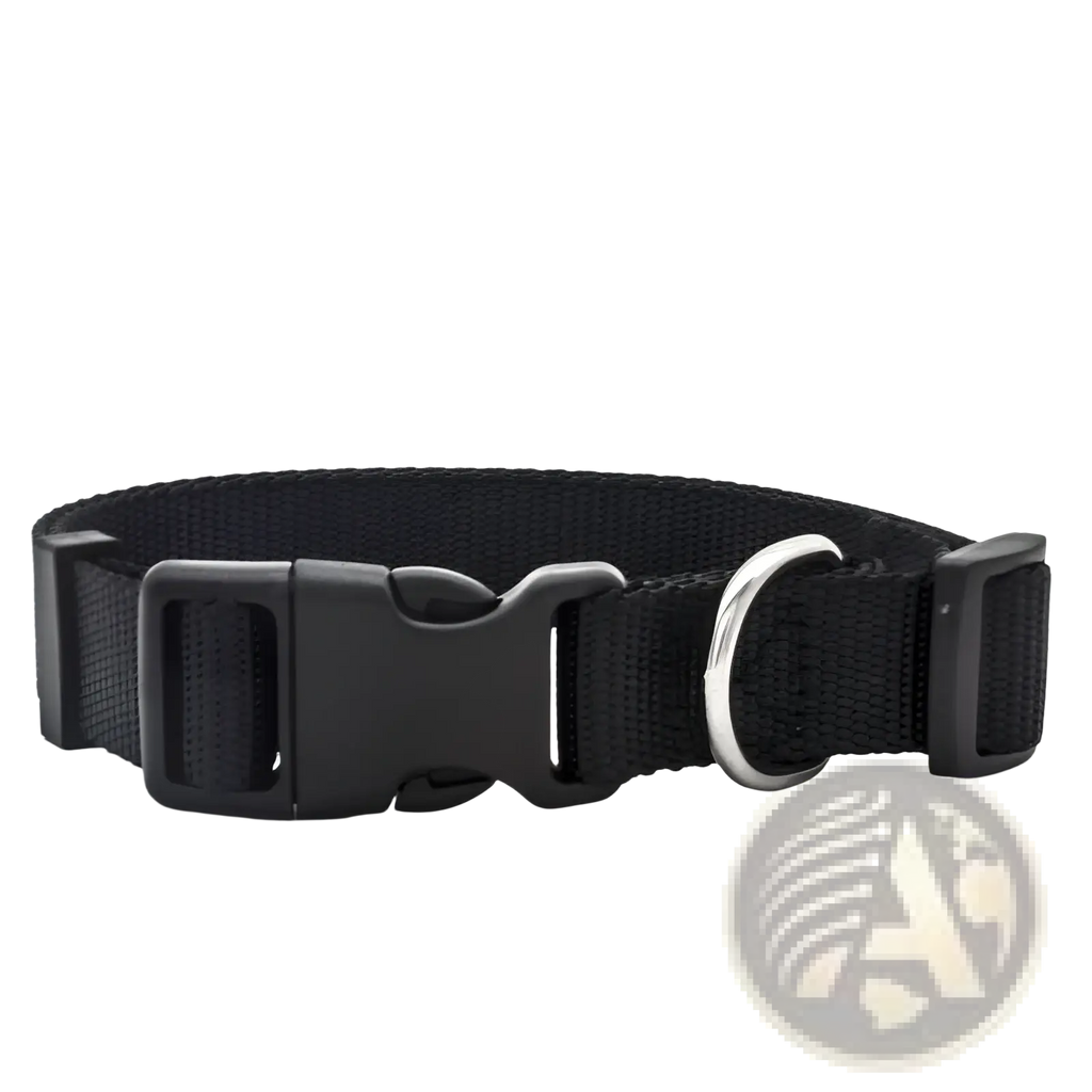 Black nylon dog collar with adjustable strap, black plastic buckle, and silver metal d-ring for pet neck safety