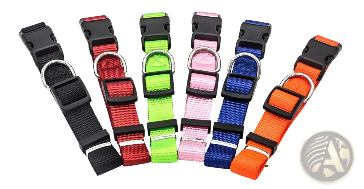 A set of five colorful adjustable nylon dog collars with black plastic buckles and silver metal d-rings for pets