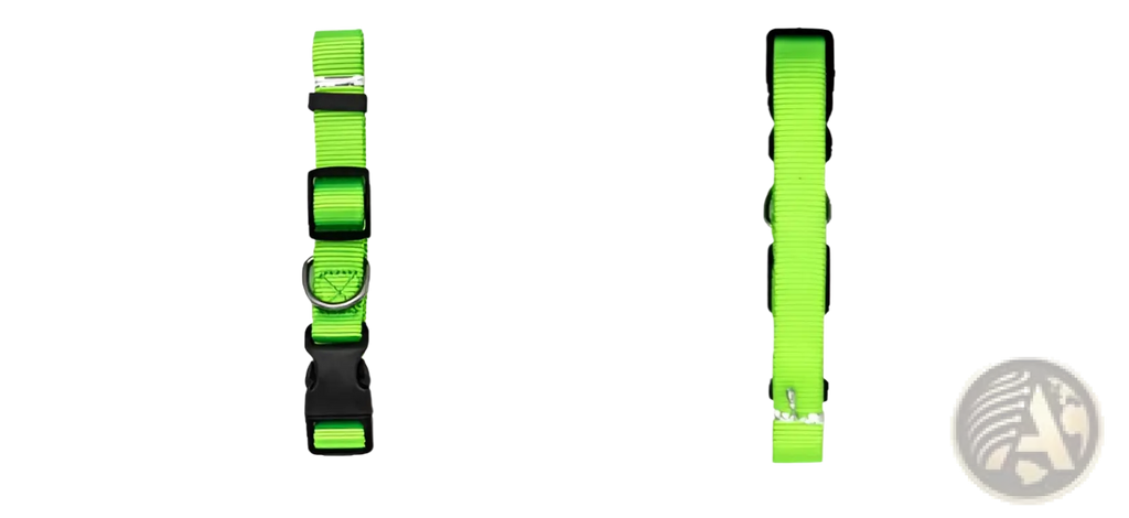 Neon green nylon dog collar with adjustable strap black plastic buckle and metal d-ring for pet neck use
