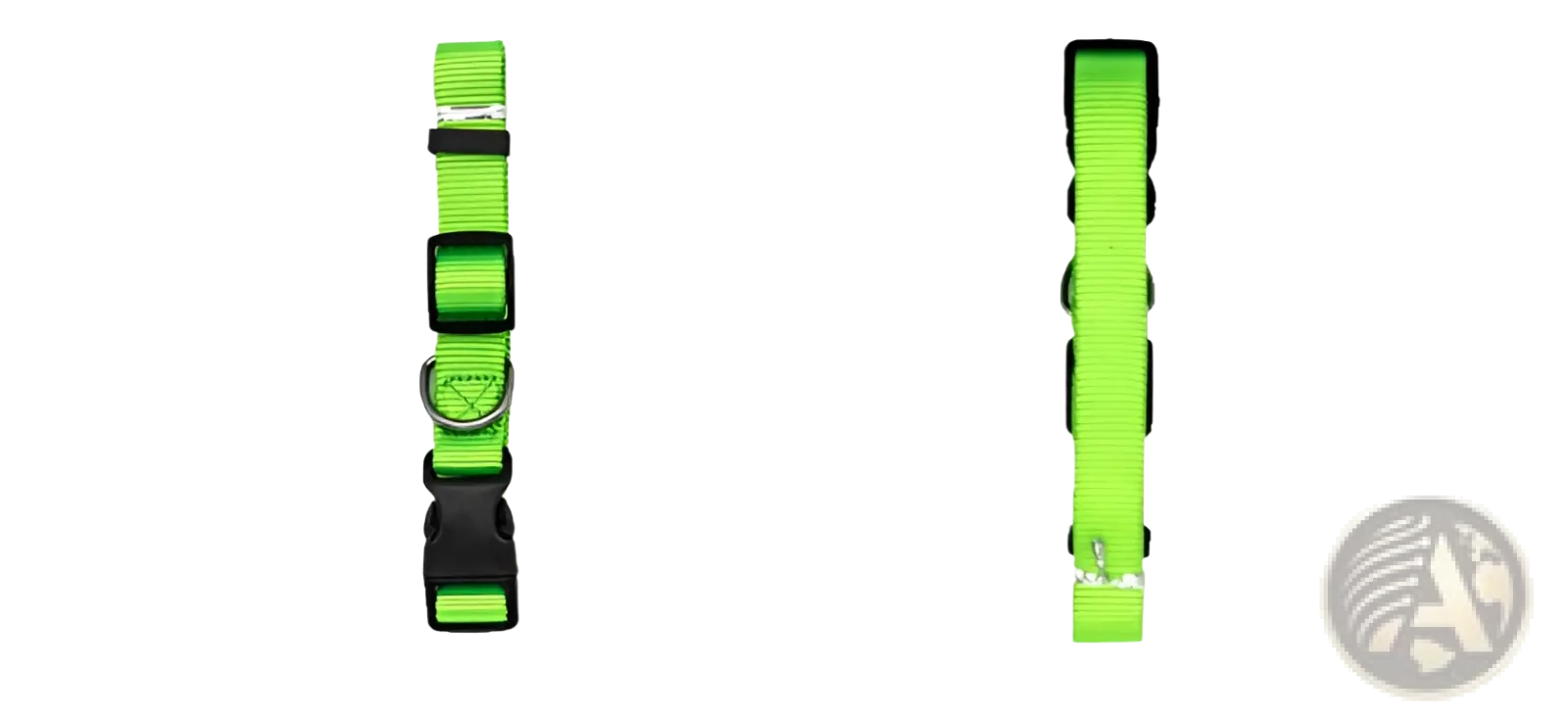 Neon green nylon dog collar with adjustable strap black plastic buckle and metal d-ring for pet neck use
