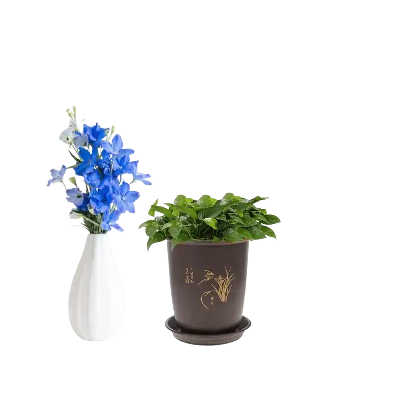 Dark brown ceramic orchid pot with gold design and chinese characters holding a green plant in plant nursery pots tray