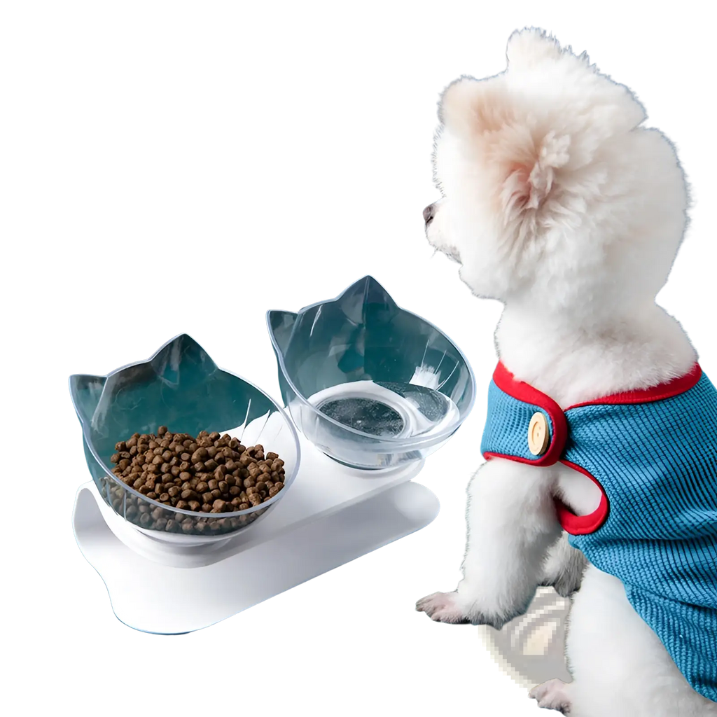 Clear cat-shaped orthopedic pet food and water bowls on a white stand with slanted neck protection design