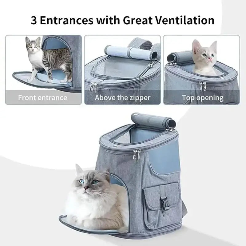 Gray oxford cloth pet travel backpack with three ventilation entrances and rolled-up handle for hiking use