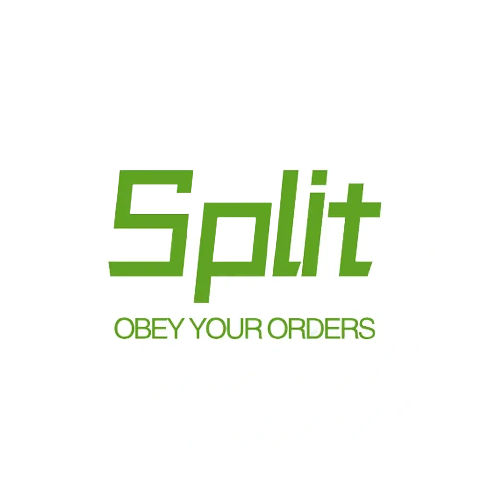 Green split logo with obey your orders tagline beneath original shiny pallet town suicune and entei resin figure burned tower base