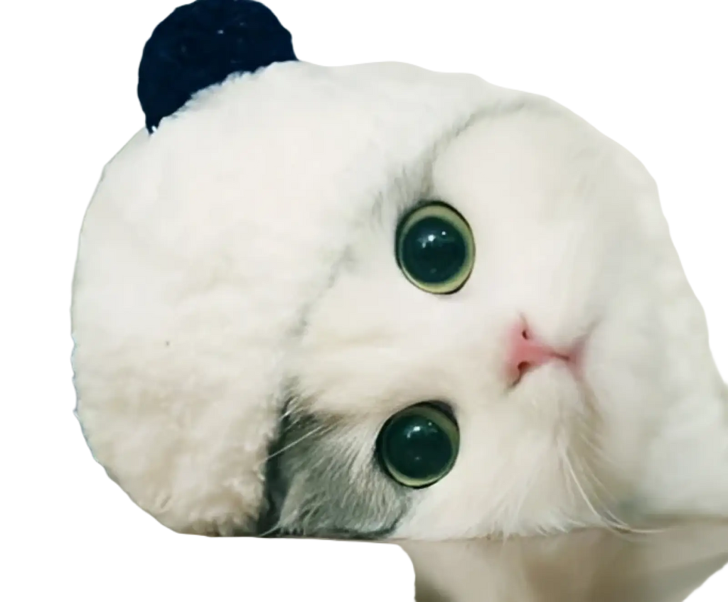 A fluffy white cat wearing a panda pet hat with black ears and green eyes resting its head on a surface