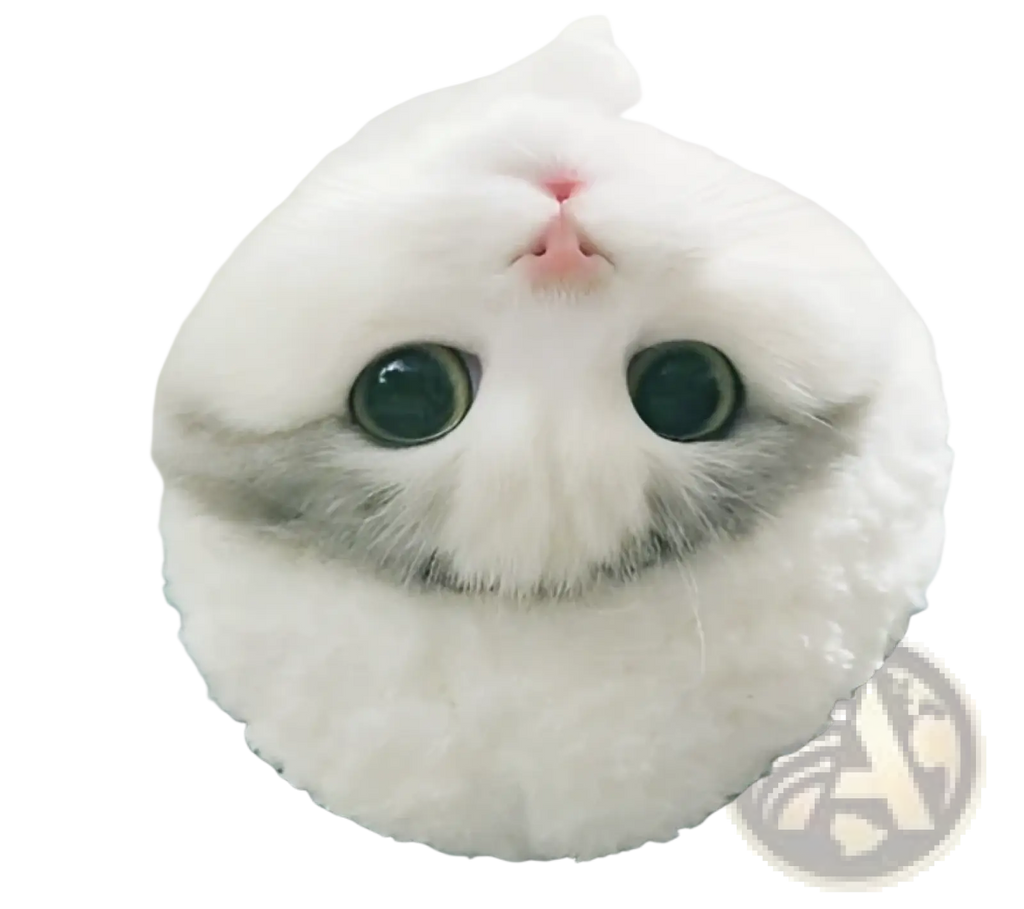 A fluffy white cat with green eyes wearing a panda pet hat fluffy cat costume white animal headwear