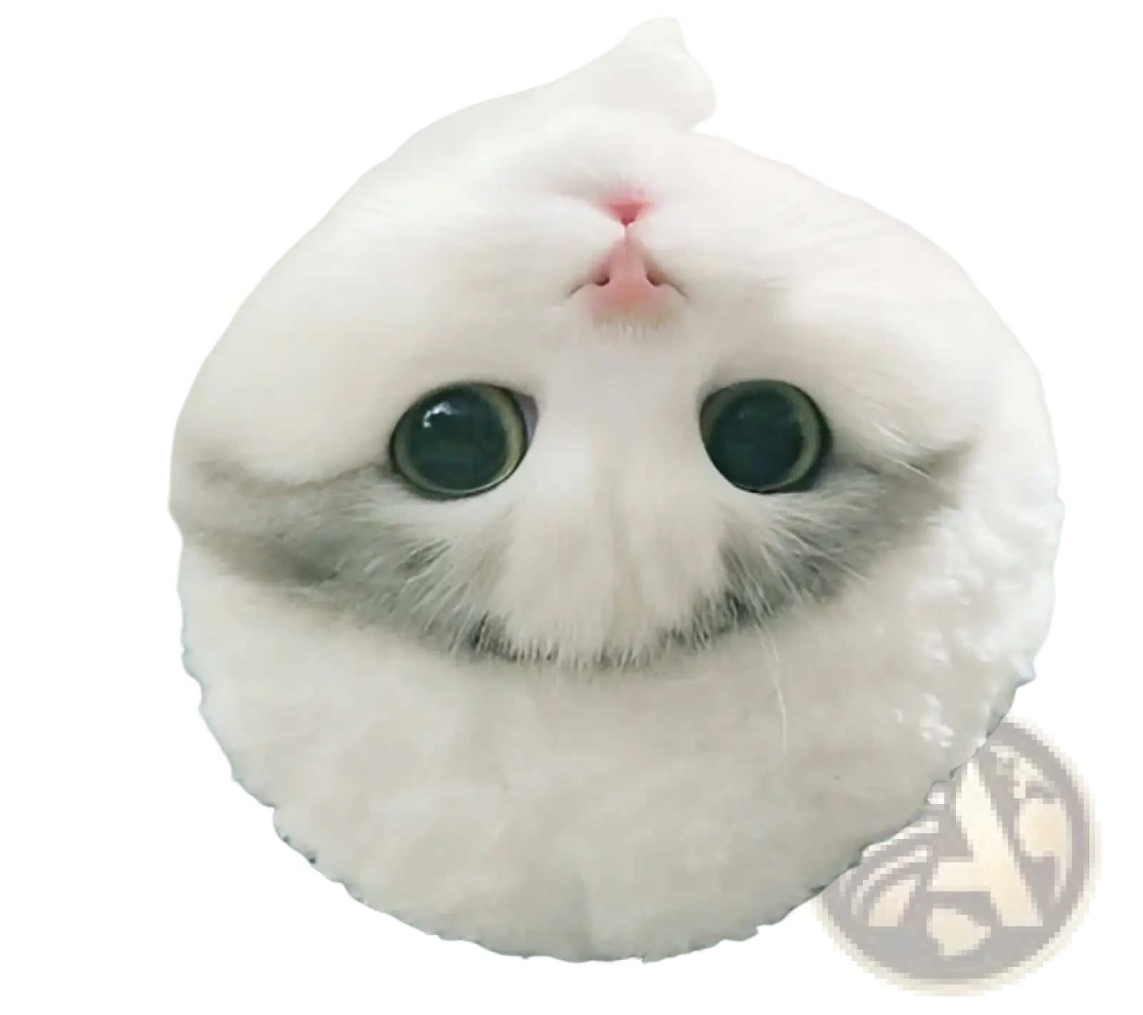 A fluffy white cat with green eyes wearing a panda pet hat fluffy cat costume white animal headwear