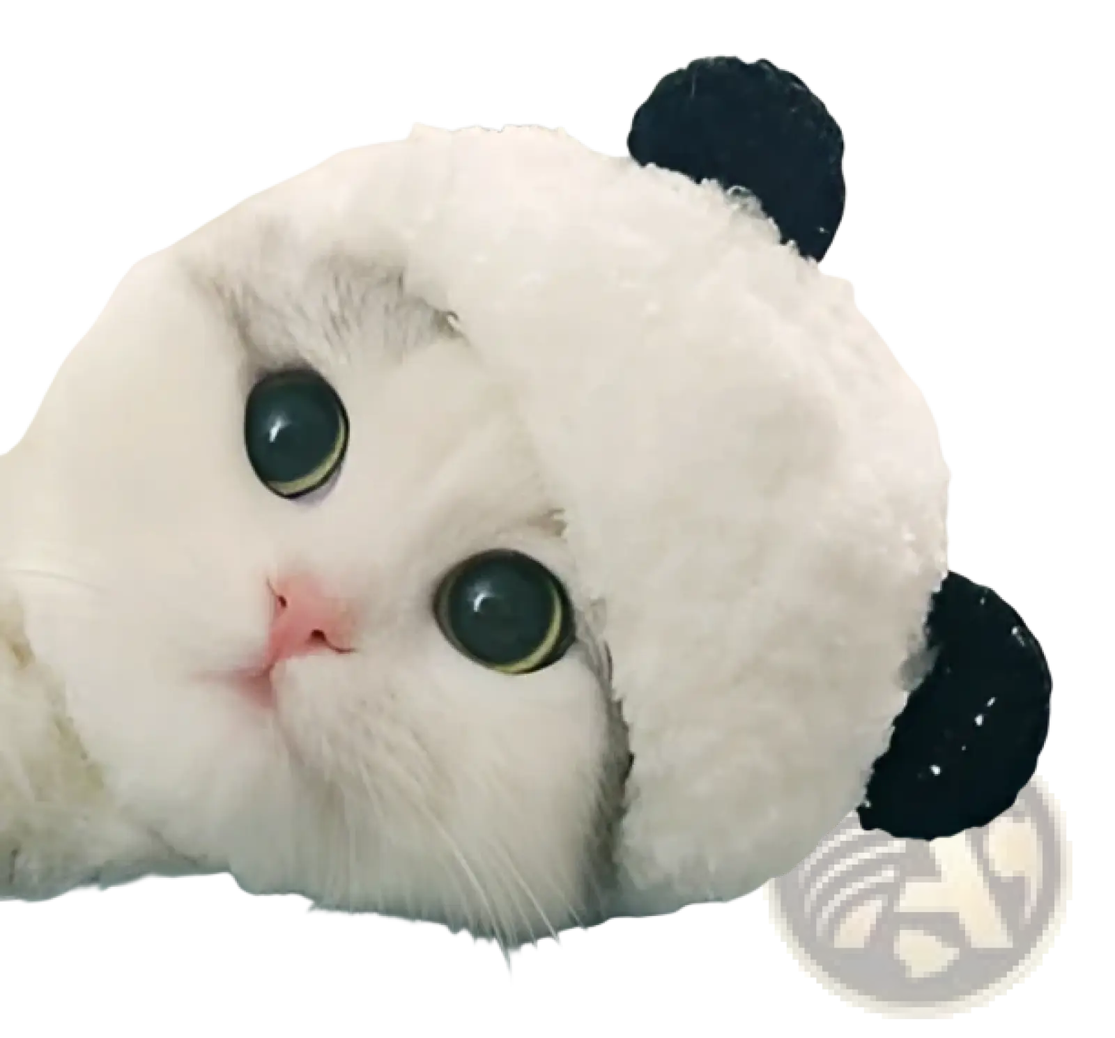 A fluffy white cat wearing a soft plush panda pet hat with black ears white animal headwear costume