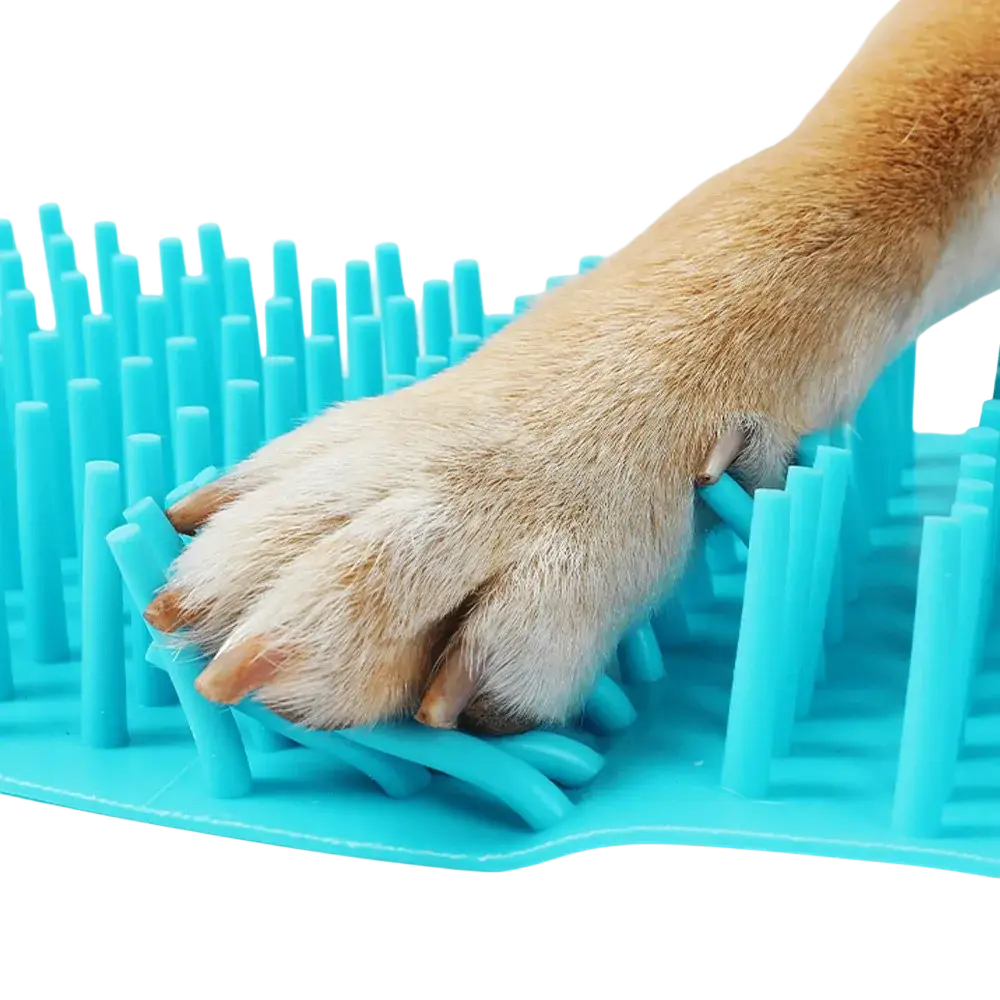 A bright blue silicone paw cleaner brush cup size mini with upright bristles for dog foot washing