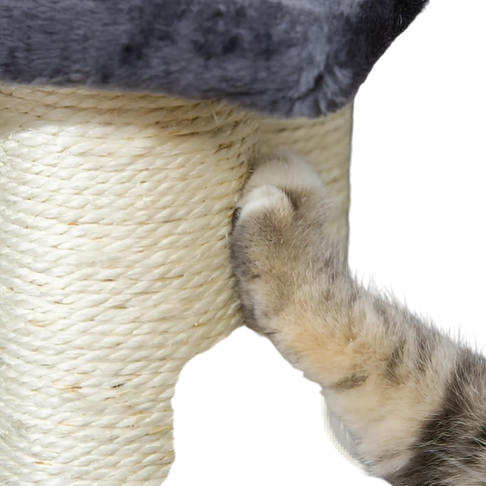 A tabby cat paw grips the textured beige sisal rope on the Pawhut 4-step cat stairs and sisal scratching post