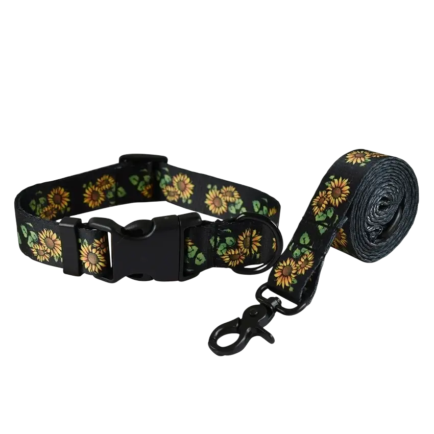 Personalized black sunflower-patterned dog collar and leash set with black plastic hardware fits neck size comfortably