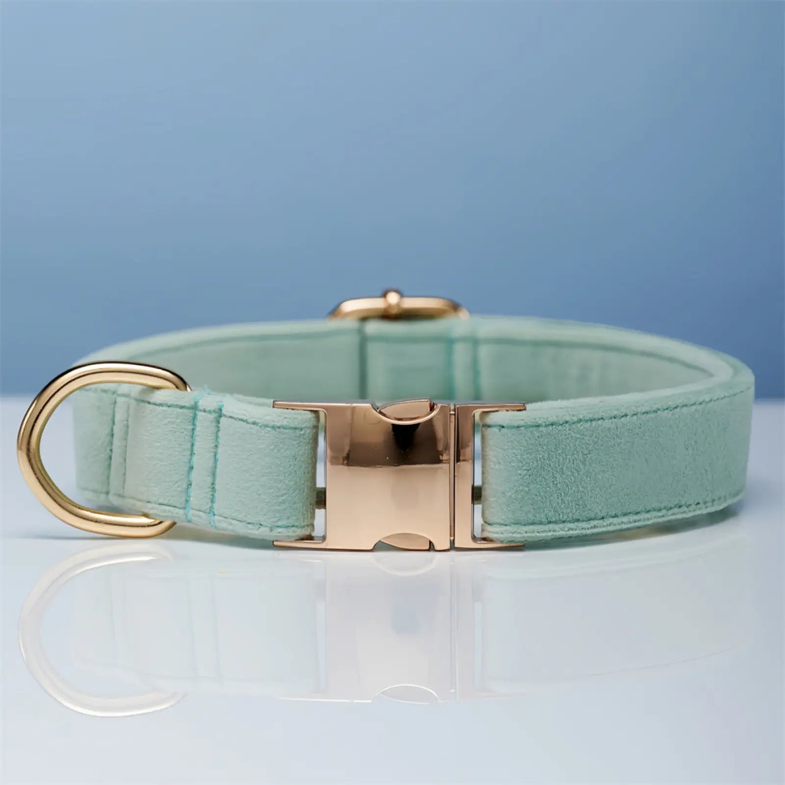 Mint green suede personalized velvet dog collar with rose gold-tone metal buckle and d-ring with bow detail