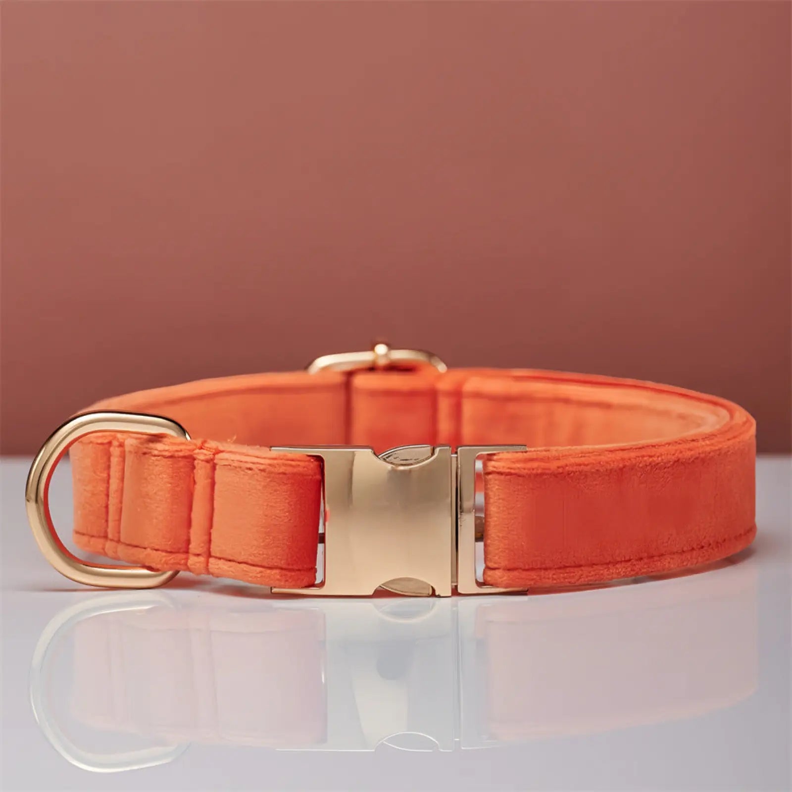 Bright orange personalized velvet dog collar with gold-toned satin buckle and d-ring for leash attachment